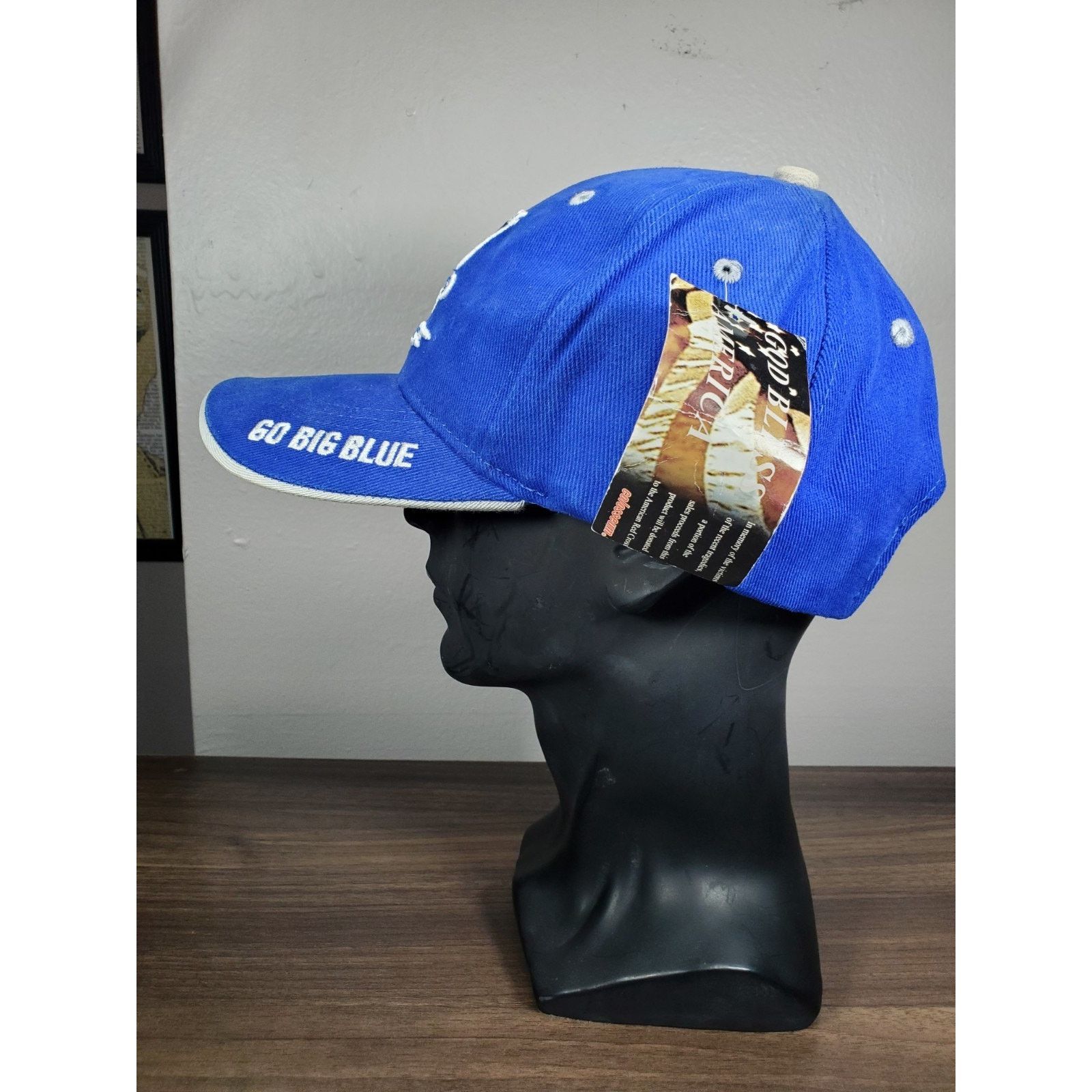 Colosseum Athletics × NCAA Air Force Falcons Hat Cap GO BIG BLUE Enduring Freedom Size ONE SIZE - 6 Thumbnail