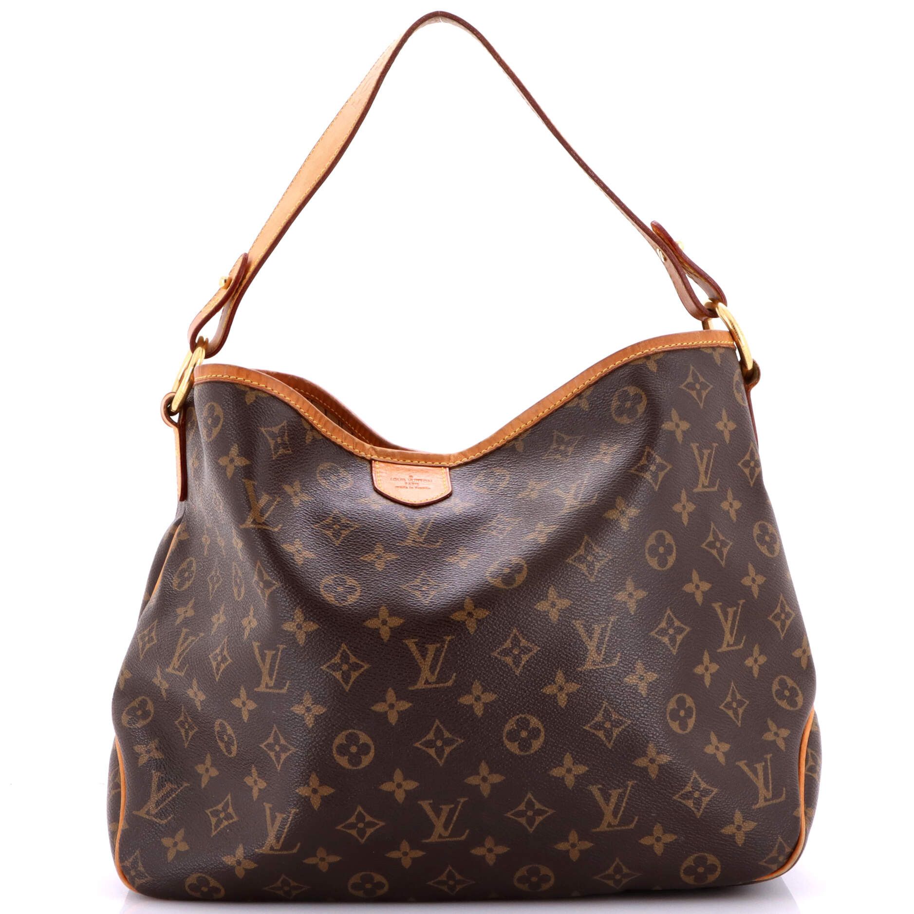 Louis Vuitton Delightful Handbag Size ONE SIZE - 1 Thumbnail