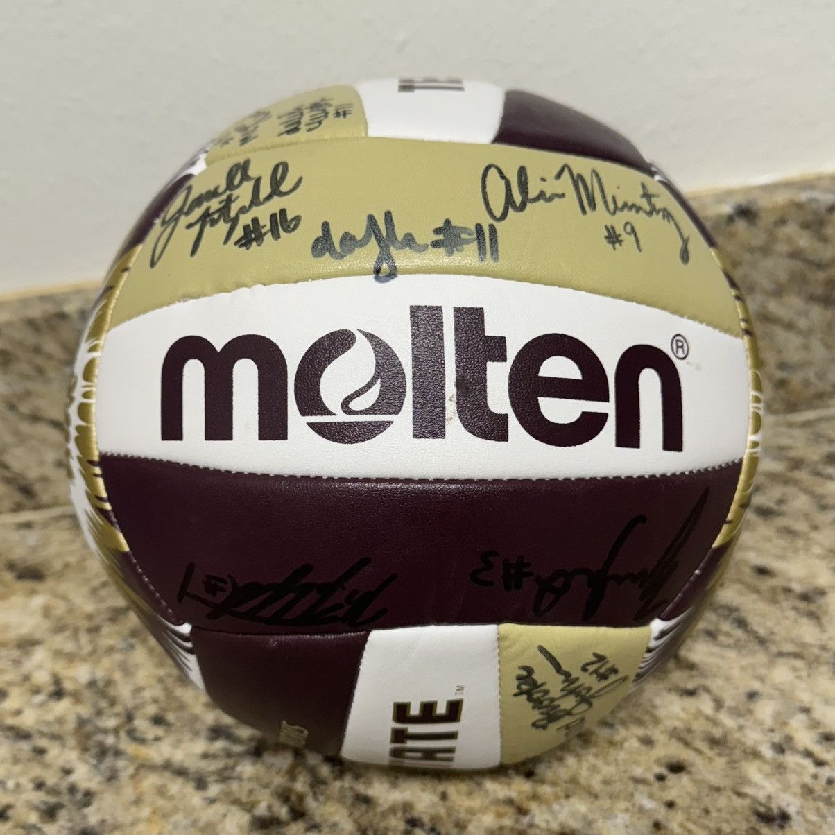 NCAA 2019 Texas State Bobcats Sun Belt Champ Autograph Volleyball Size ONE SIZE - 3 Thumbnail