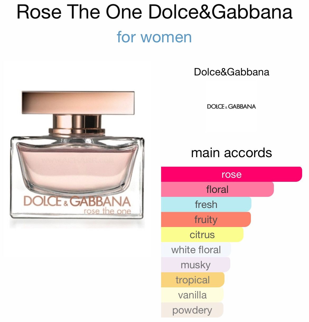 Dolce & Gabbana Rose The One 2.5 Oz Tester
