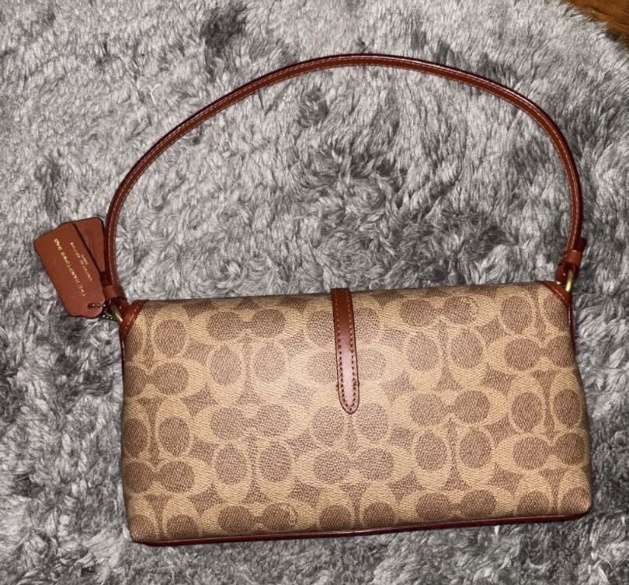 Limited Edition 2002 Coach Hamptons