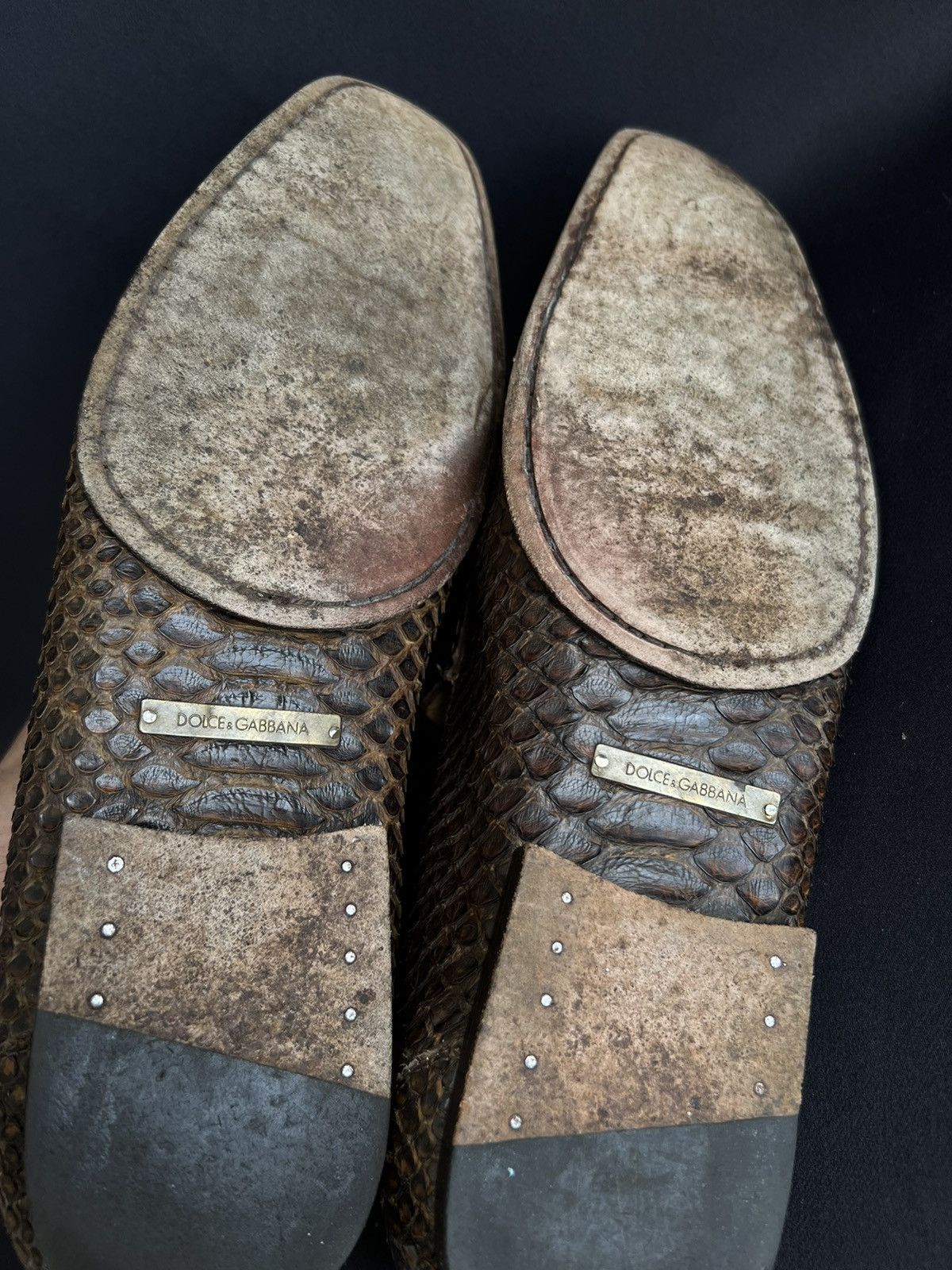 Dolce & Gabbana Dolce & Gabbana Men's Shoes Snake Skin Brown Size US 7 Size US 7 / EU 40 - 8 Thumbnail