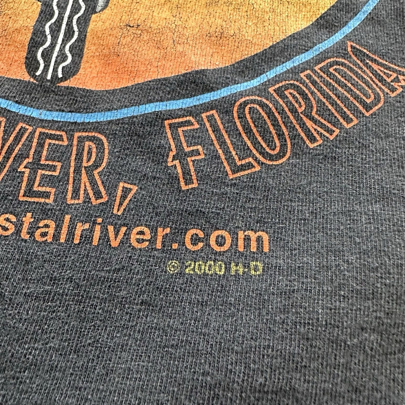 Harley Davidson Vintage Harley Davidson Shirt Mens XL SS Tee Y2K 2000s Flaming Eagle Florida Size US XL / EU 56 / 4 - 7 Thumbnail