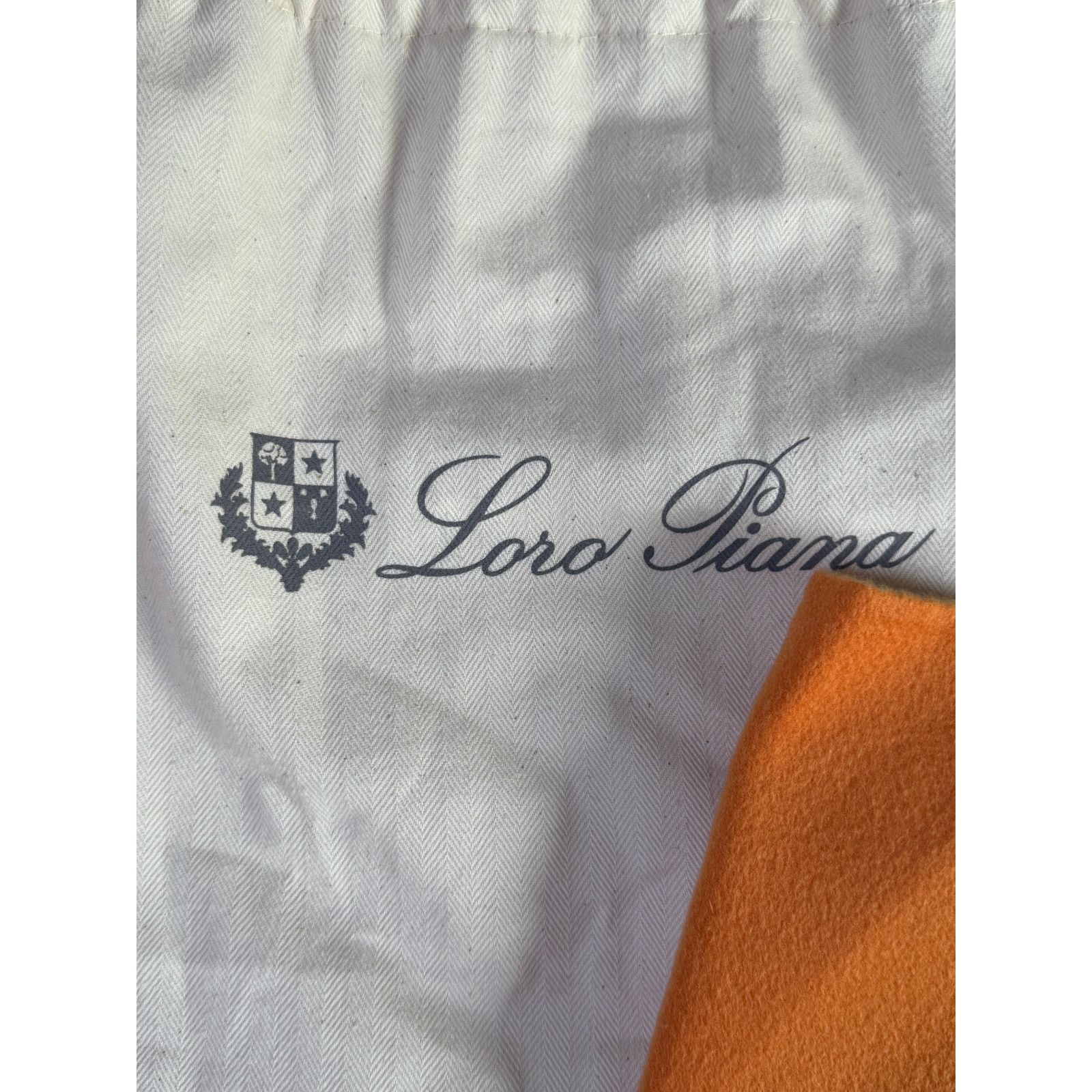 Loro Piana Loro Piana NWT Cashmere Tie Scarf Size ONE SIZE - 11 Thumbnail