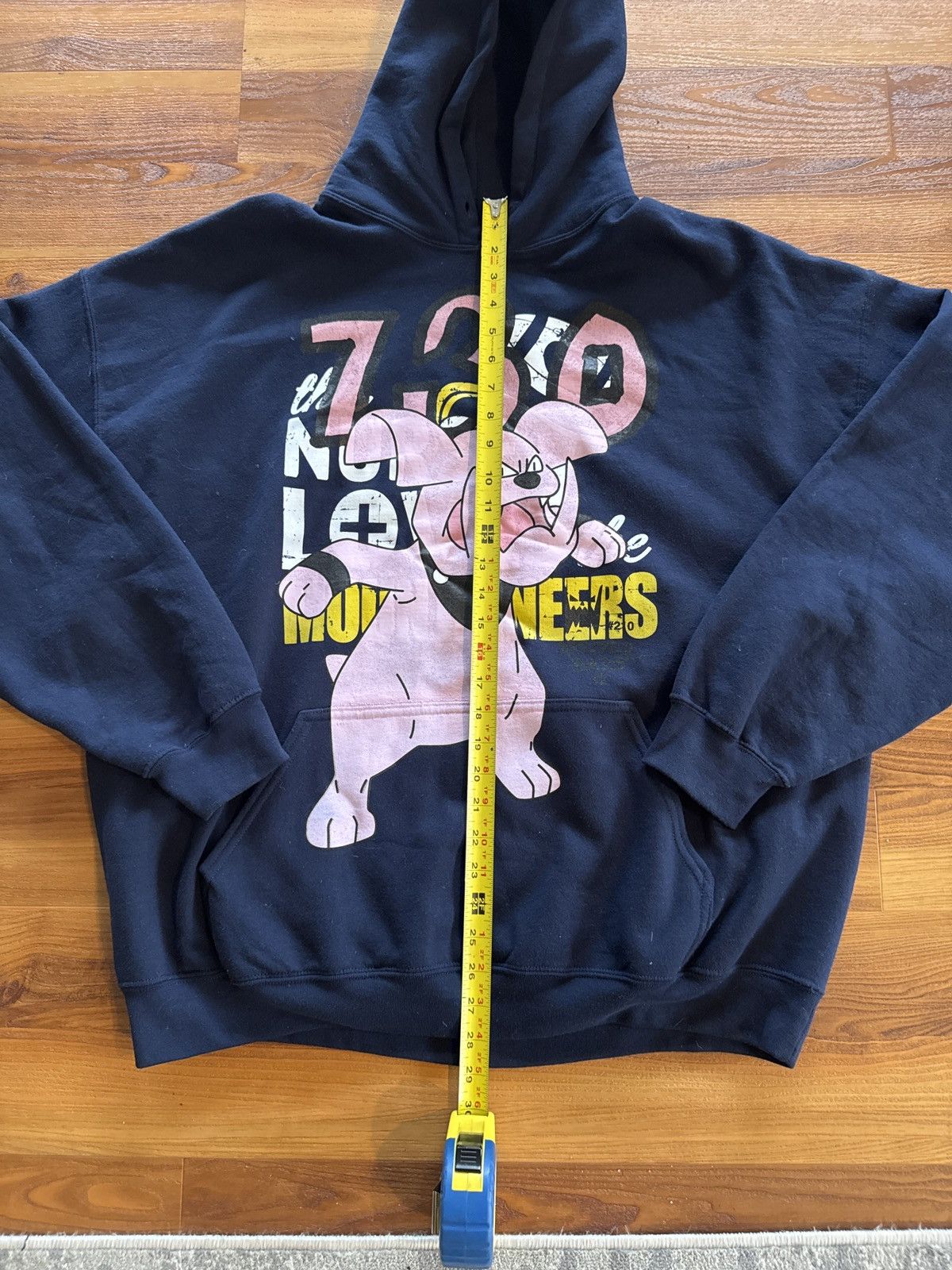 Asspizza Asspizza Pokemon revived hoodie #210 west Virginia Size US XL / EU 56 / 4 - 7 Thumbnail