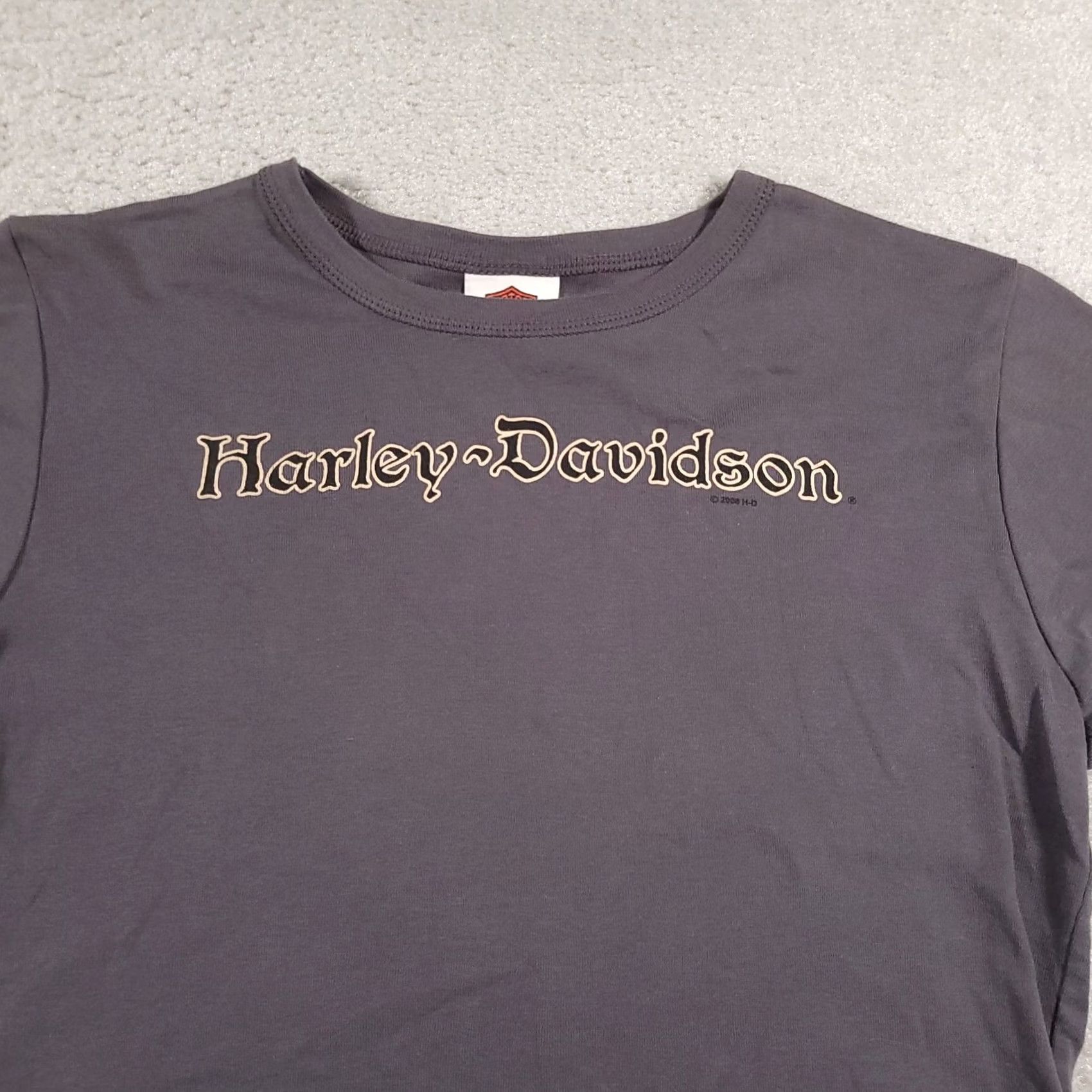 Harley Davidson VINTAGE Harley-Davidson Shirt Womens Large Gray Appleton Clarksville TN 2000s USA Size L / US 10 / IT 46 - 3 Thumbnail