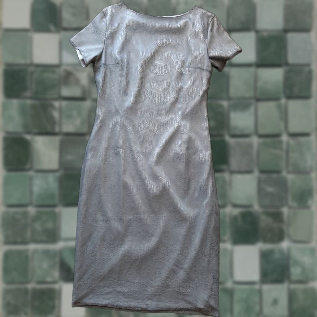 Apple Shabby Apple Dress Womens Size 6 Silver Lined Knee Length Short Sleeve Shirt Dress Womens Size 6 Silver Lined Knee Length Short Sleeve Size 28" / US 6 / IT 42 - 1 Thumbnail