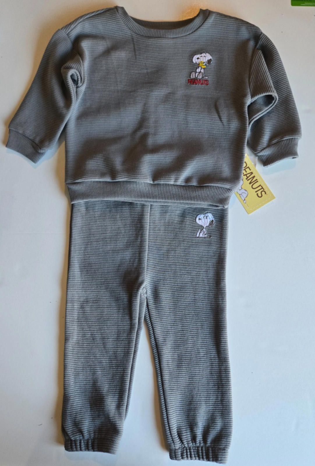 Peanuts Peanuts Snoopy Outfit Boys Sweatpants and Sweatshirt 12M NWT Size ONE SIZE - 1 Thumbnail