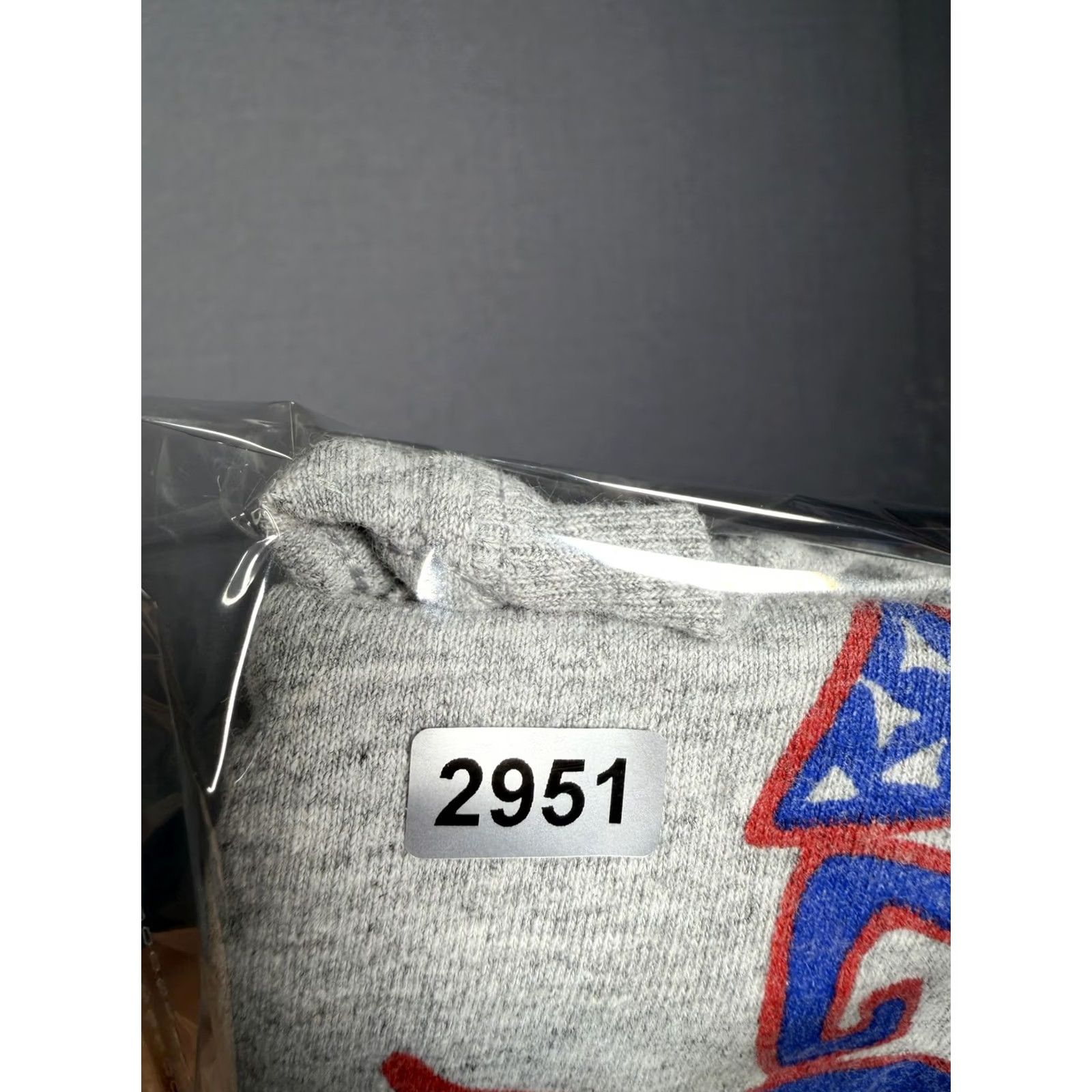 Champion VINTAGE DePaul Blue Demons Shirt Mens XL Gray Champion College Graphic Tee T-Shirt Size US XL / EU 56 / 4 - 8 Thumbnail