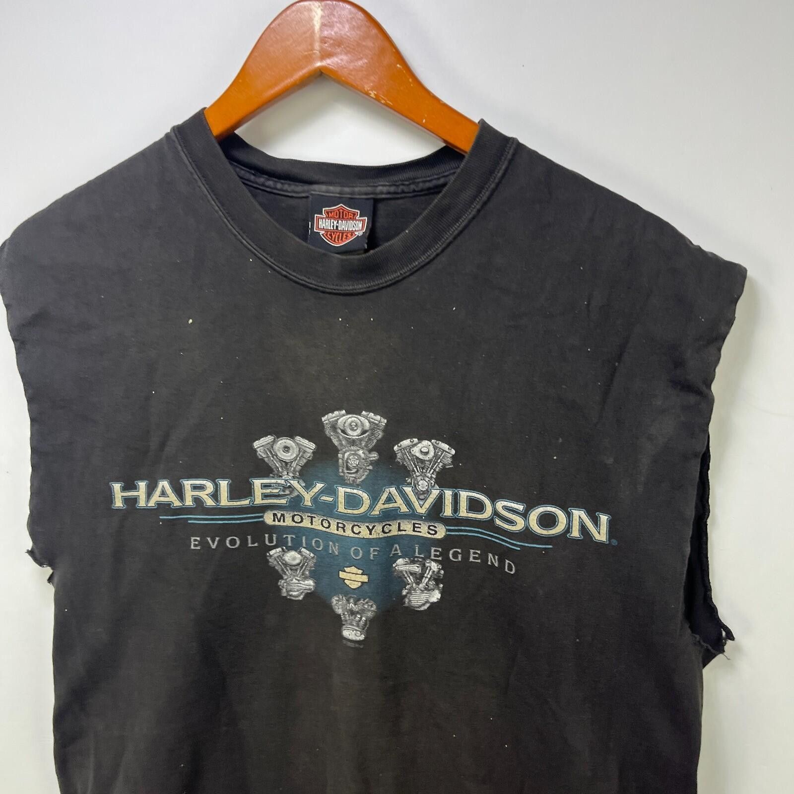 Harley Davidson Vintage Harley Davidson Faded Sleeveless Shirt Medium Size US M / EU 48-50 / 2 - 4 Thumbnail