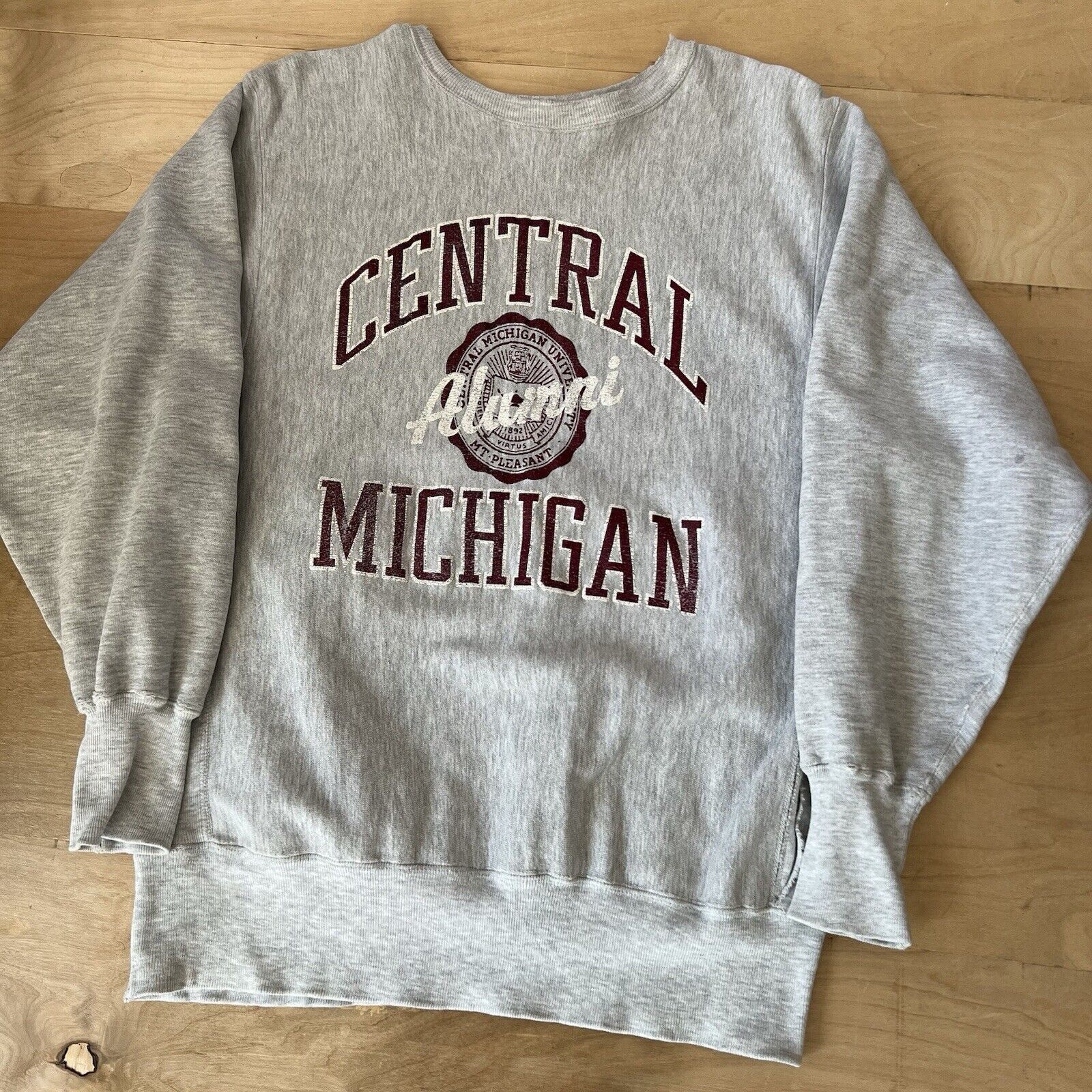 Champion × Vintage Vintage Central Michigan Sweatshirt XL Gray 90s Champion Size US XL / EU 56 / 4 - 10 Thumbnail
