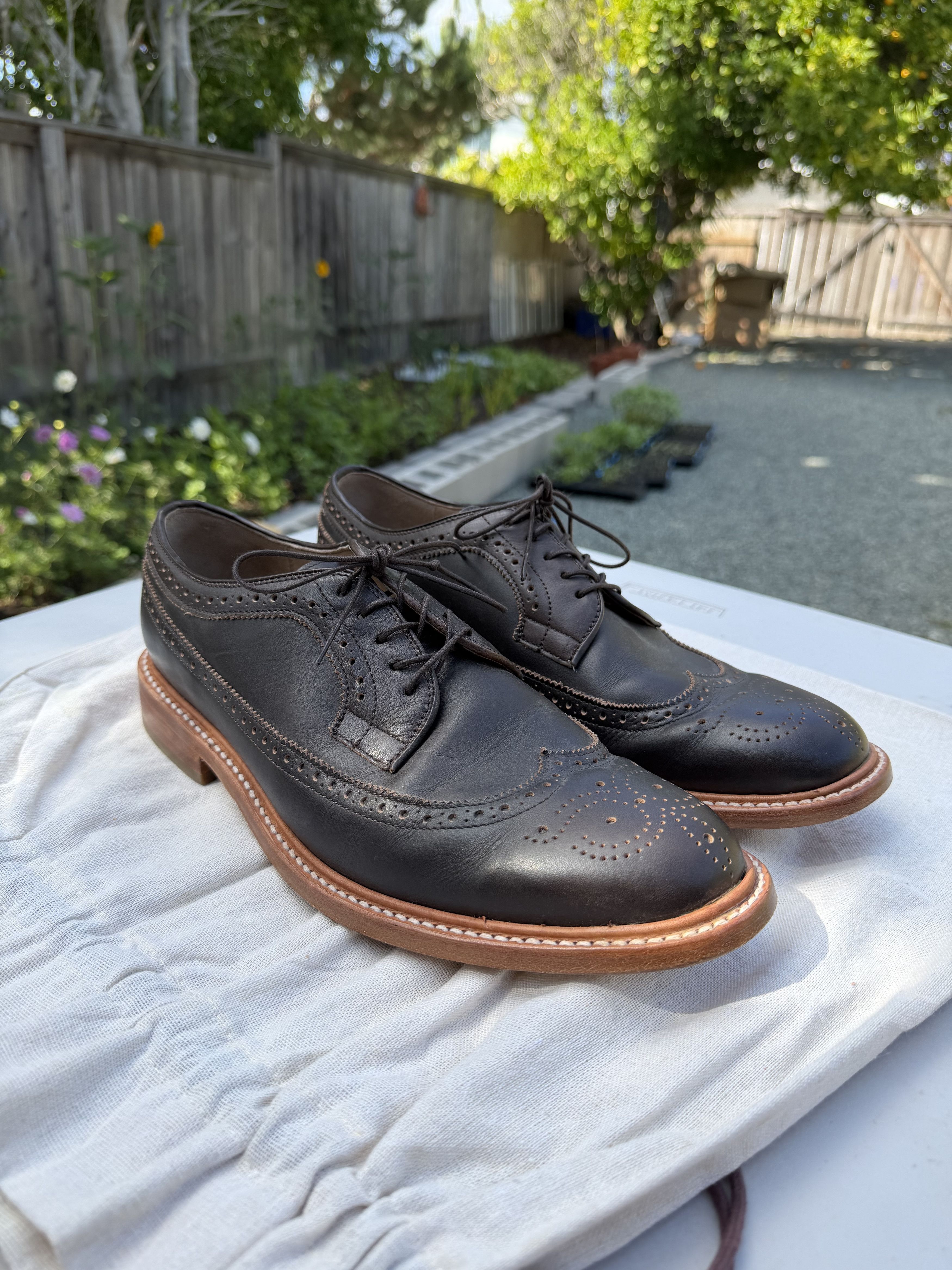 Taylor Stitch Taylor Stitch Brogue Espresso Brown Leather Dress Shoes 12.5 Size US 12.5 / EU 45-46 - 1 Thumbnail