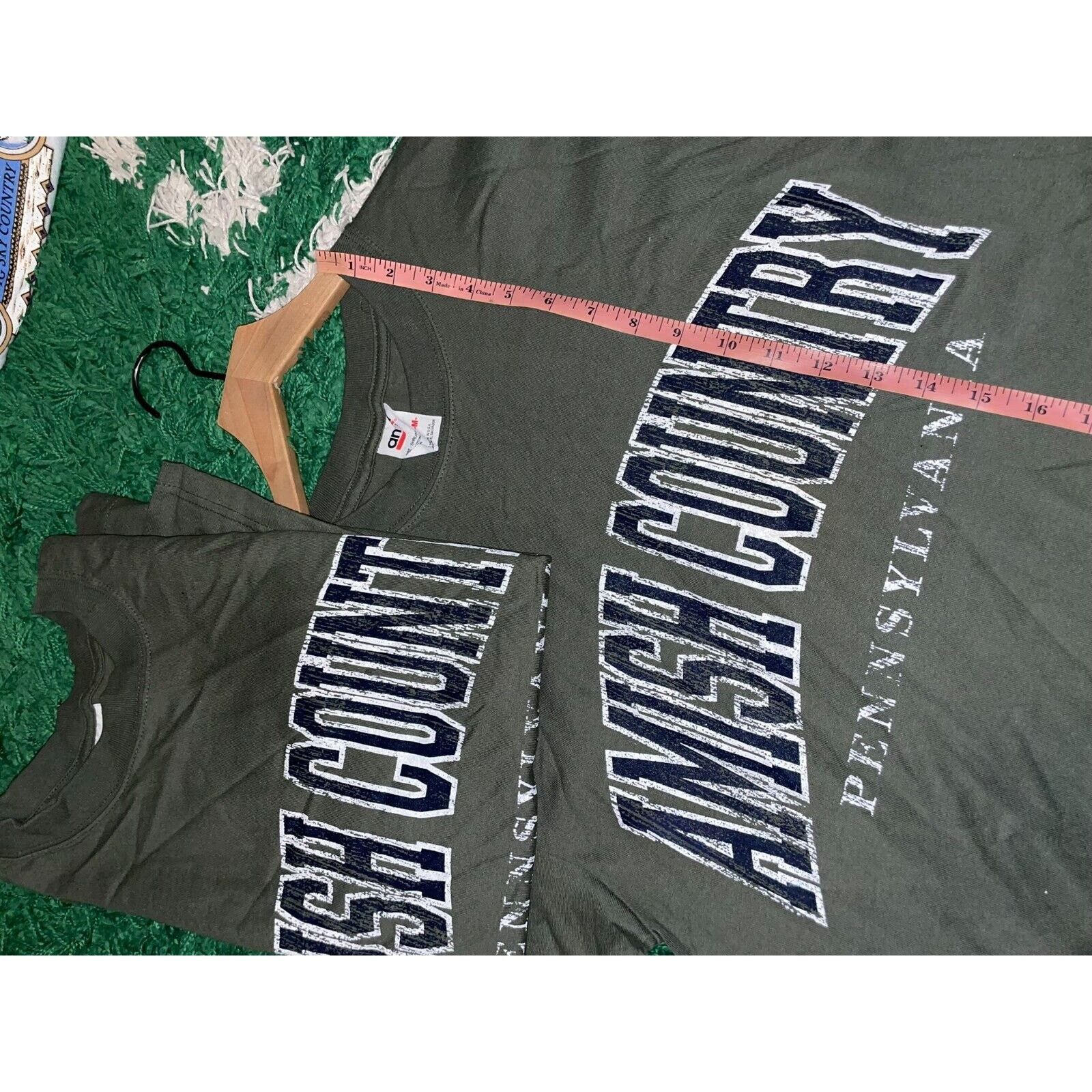 Anvil Vintage Amish Country Shirt Pennsylvania Green Tee VTG 90s M Size US M / EU 48-50 / 2 - 9 Thumbnail