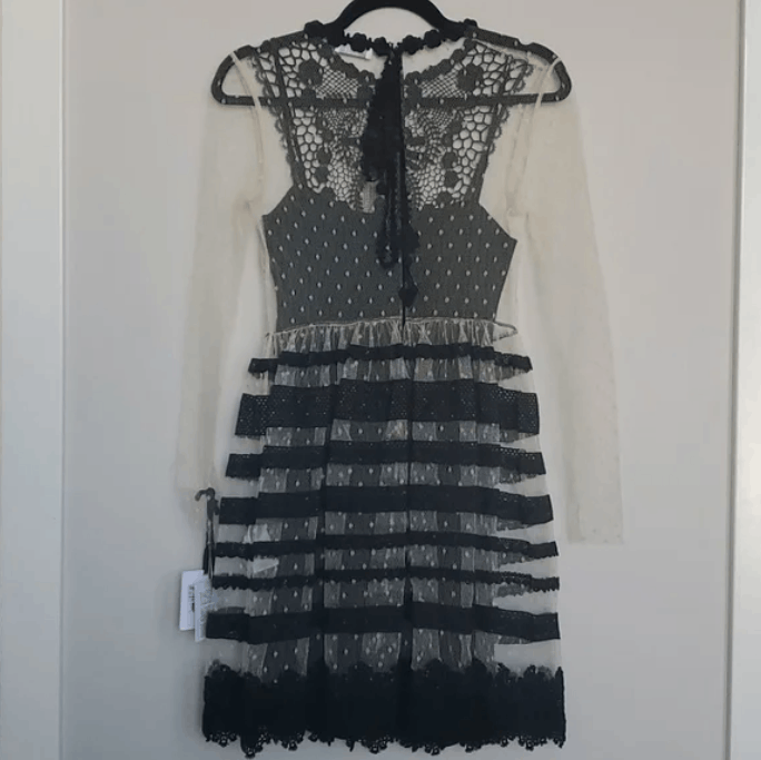 RED Valentino Crocheted lace-paneled point d'esprit mini dress Size XS / US 0-2 / IT 36-38 - 8 Thumbnail