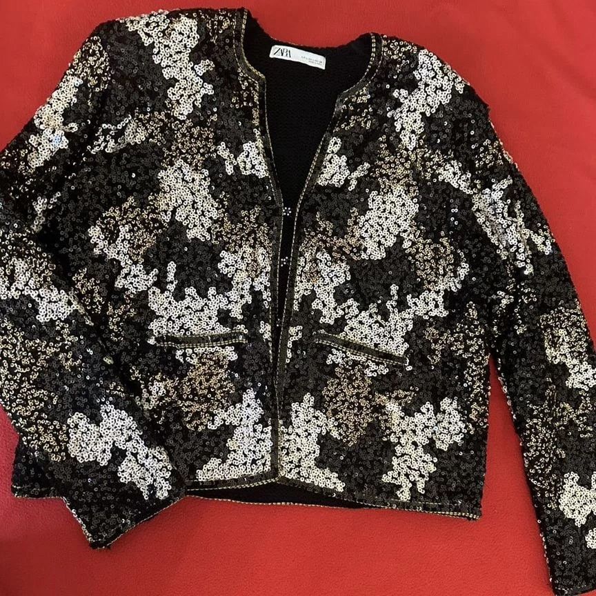Zara RARE!!! ZARA Sequined Jacket NWT Size S / US 4 / IT 40 - 14 Thumbnail