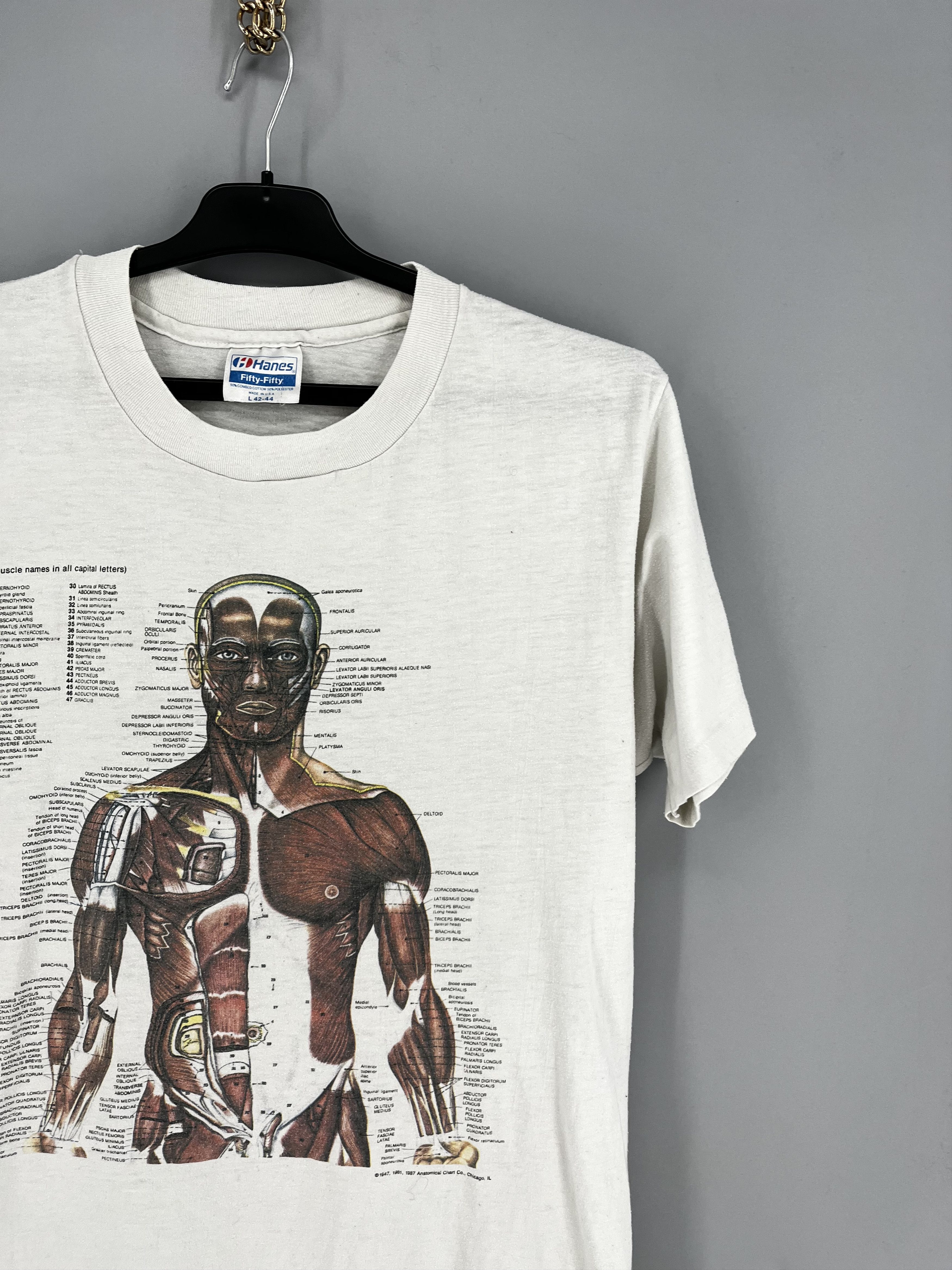 Other Anatomy Muscle Shirt Same Print as Kurt Cobain Rare Medical Size US M / EU 48-50 / 2 - 5 Thumbnail