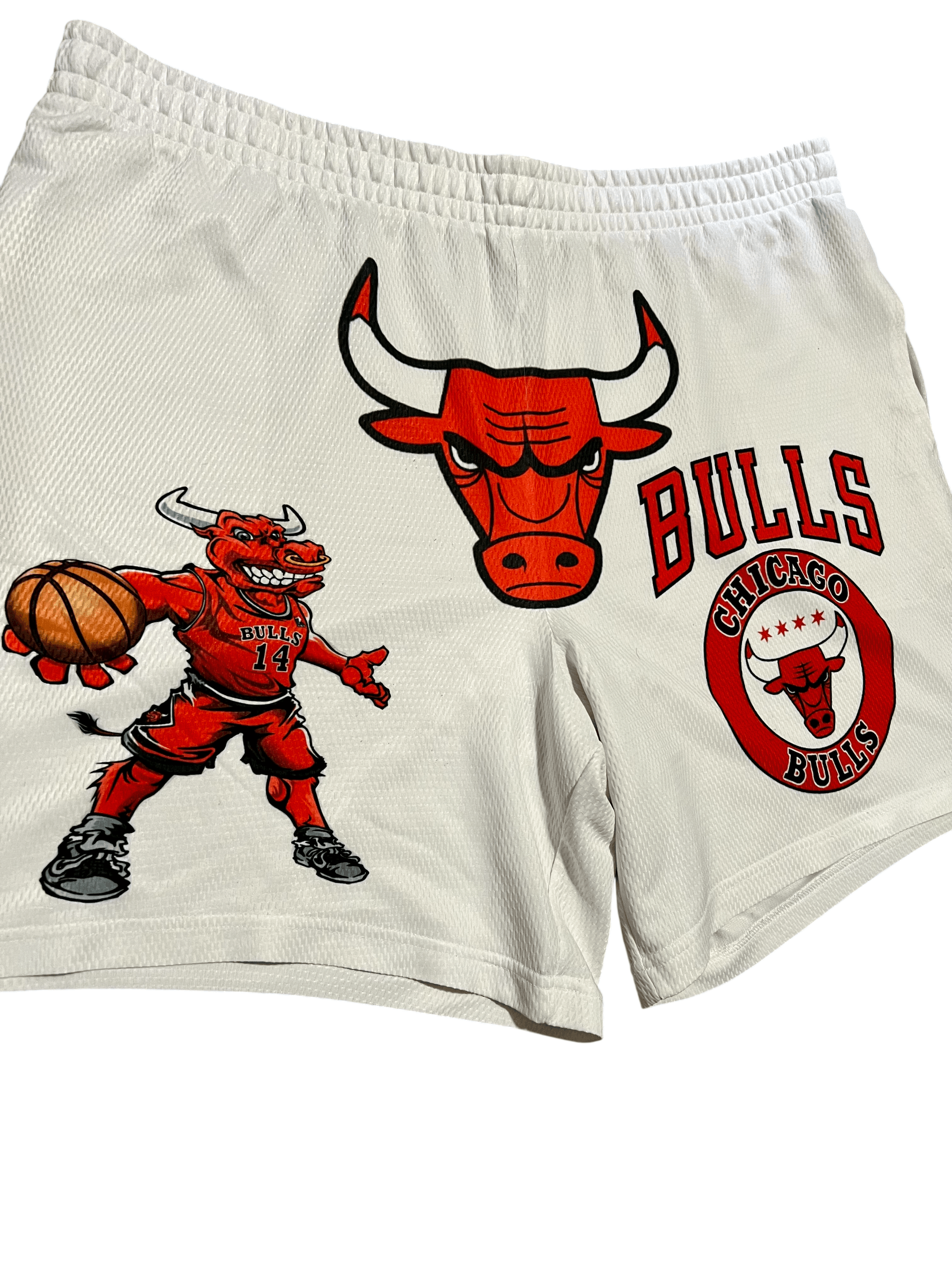Athletic Works Chicago Bulls Benny The Bull Athletic Works Athletic Shorts Size US 42 / EU 58 - 2 Thumbnail
