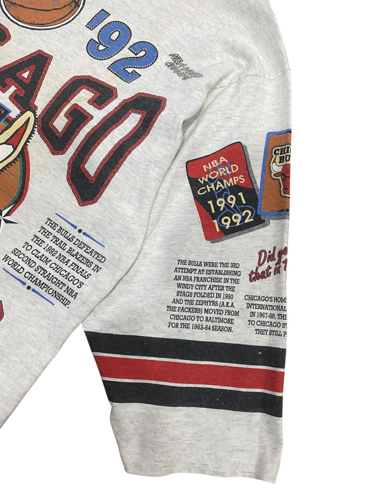 Vintage 🔥True Vintage 1993 NBA Chicago Bulls Back to Back Champs Size US L / EU 52-54 / 3 - 7 Thumbnail