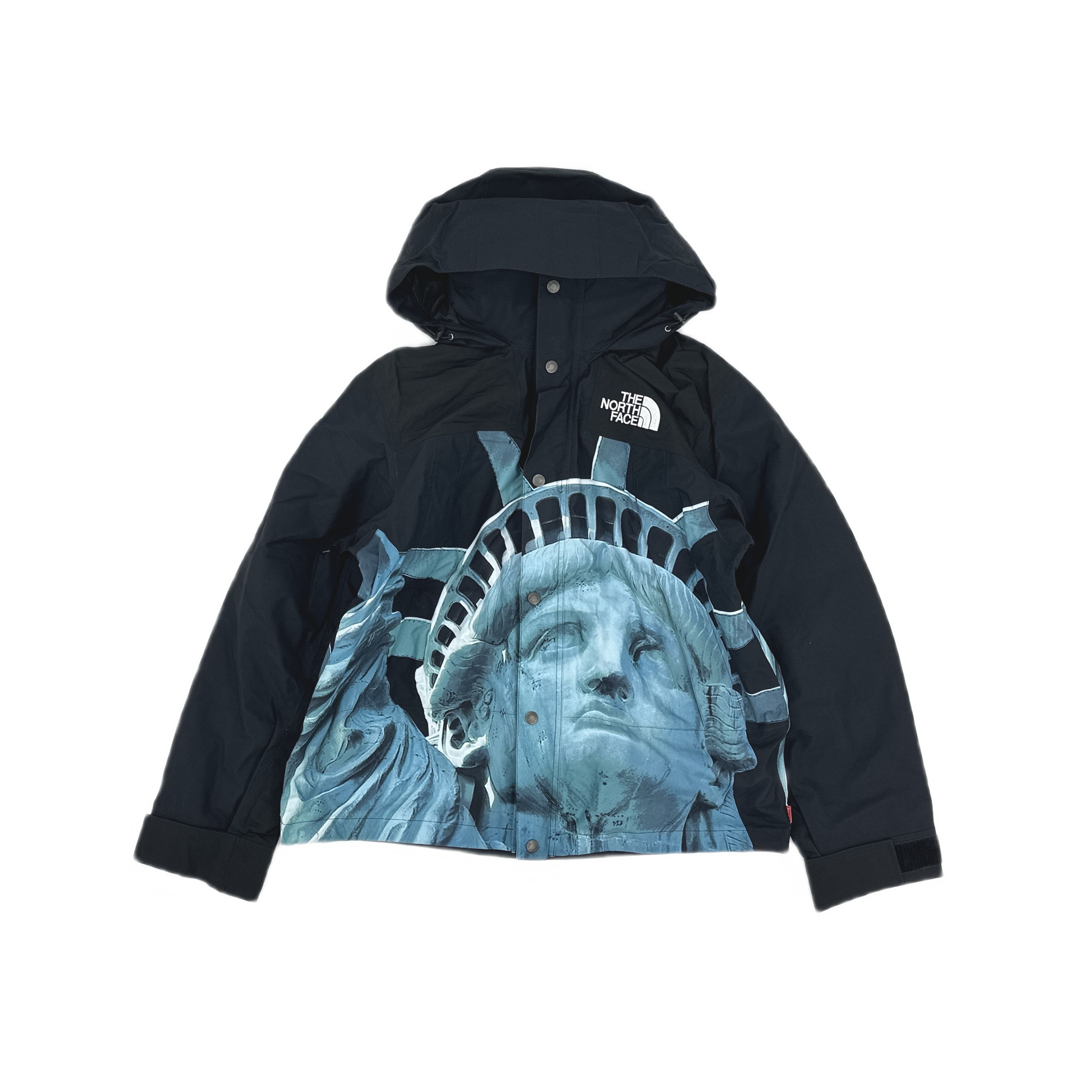 Supreme tnf the north face leaves mountain light Jacket