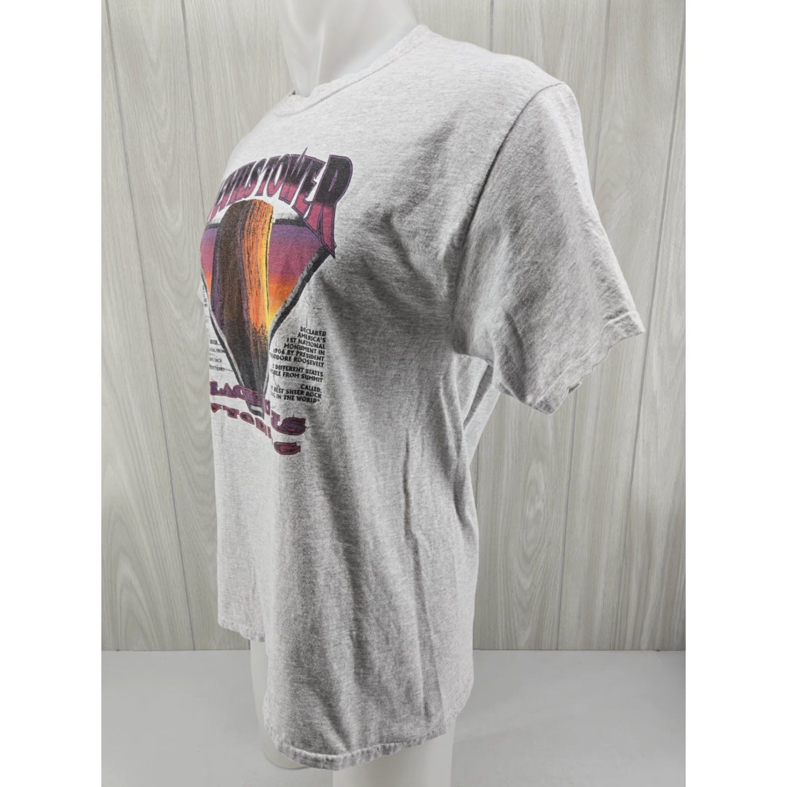Port & Company VTG 90s Devils Tower Wyoming Gray Shirt Graphic Tee Port & Company L Men Casual T-Shirt Size US L / EU 52-54 / 3 - 3 Thumbnail