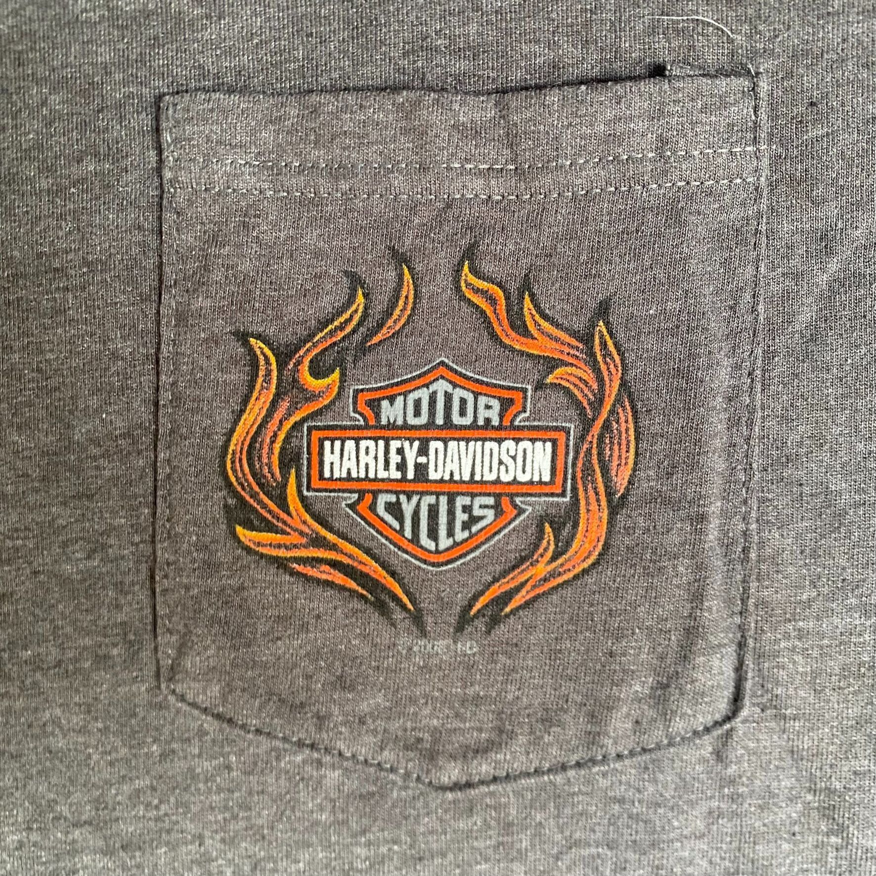 Harley Davidson Harley Davidson Flame Tee Vintage Y2K Moto Biker Logo Shirt Size US L / EU 52-54 / 3 - 3 Thumbnail