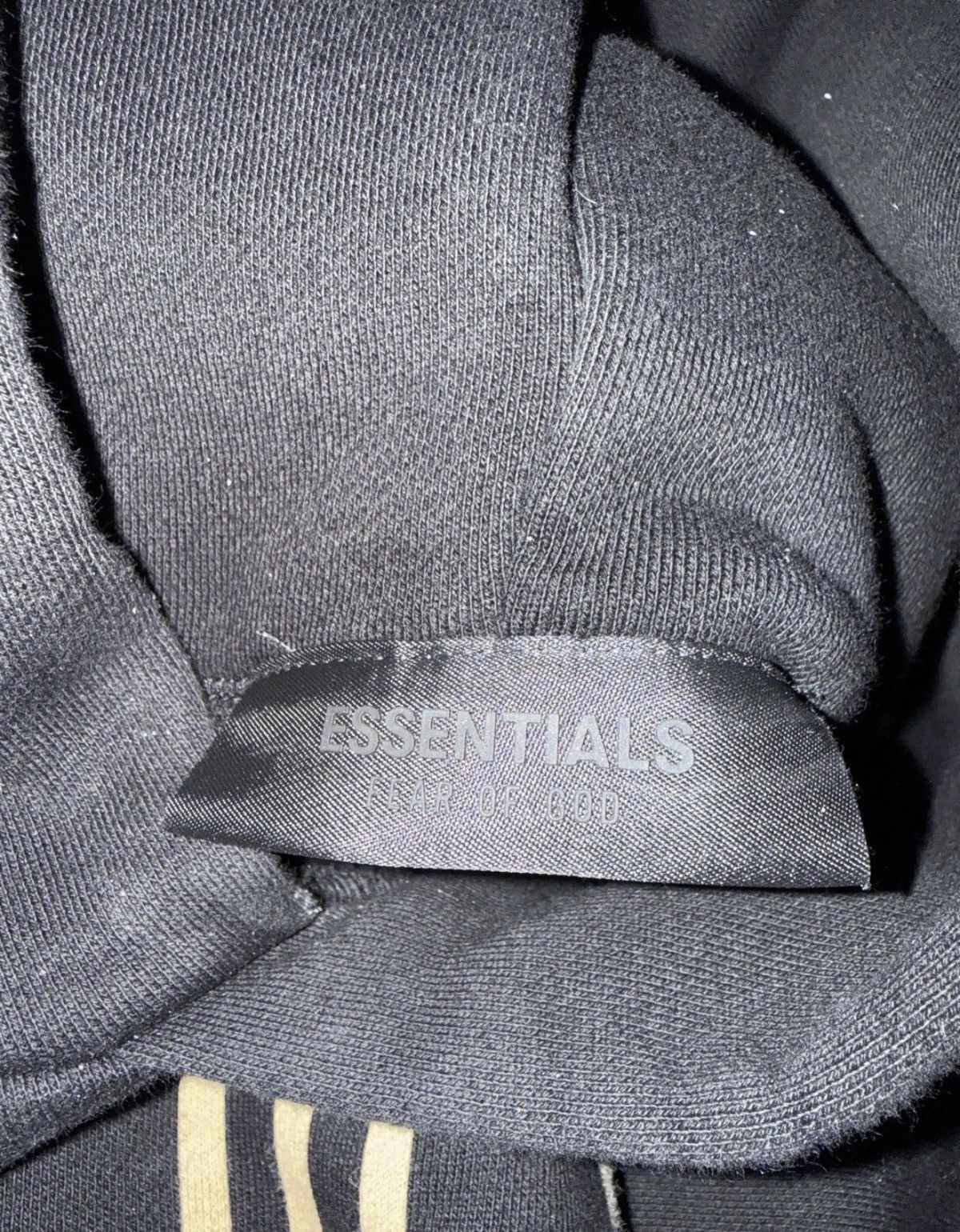 Essentials Fear of God Essentials State Hoodie Black Medium Size US M / EU 48-50 / 2 - 7 Thumbnail