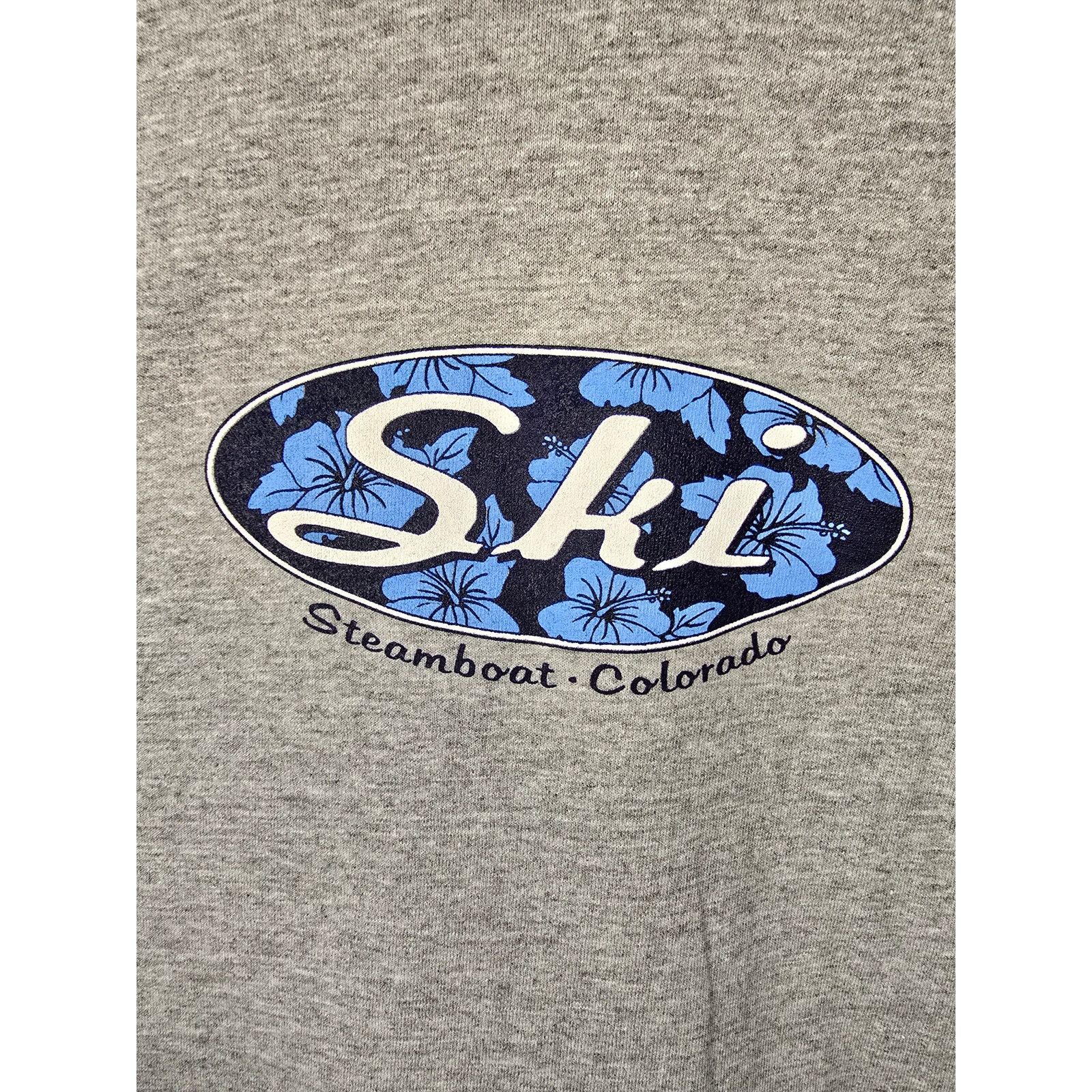 Vintage Vintage Ski Shirt Womens M Steamboat Graphic Gray Vneck Tee Size S / US 4 / IT 40 - 2 Thumbnail