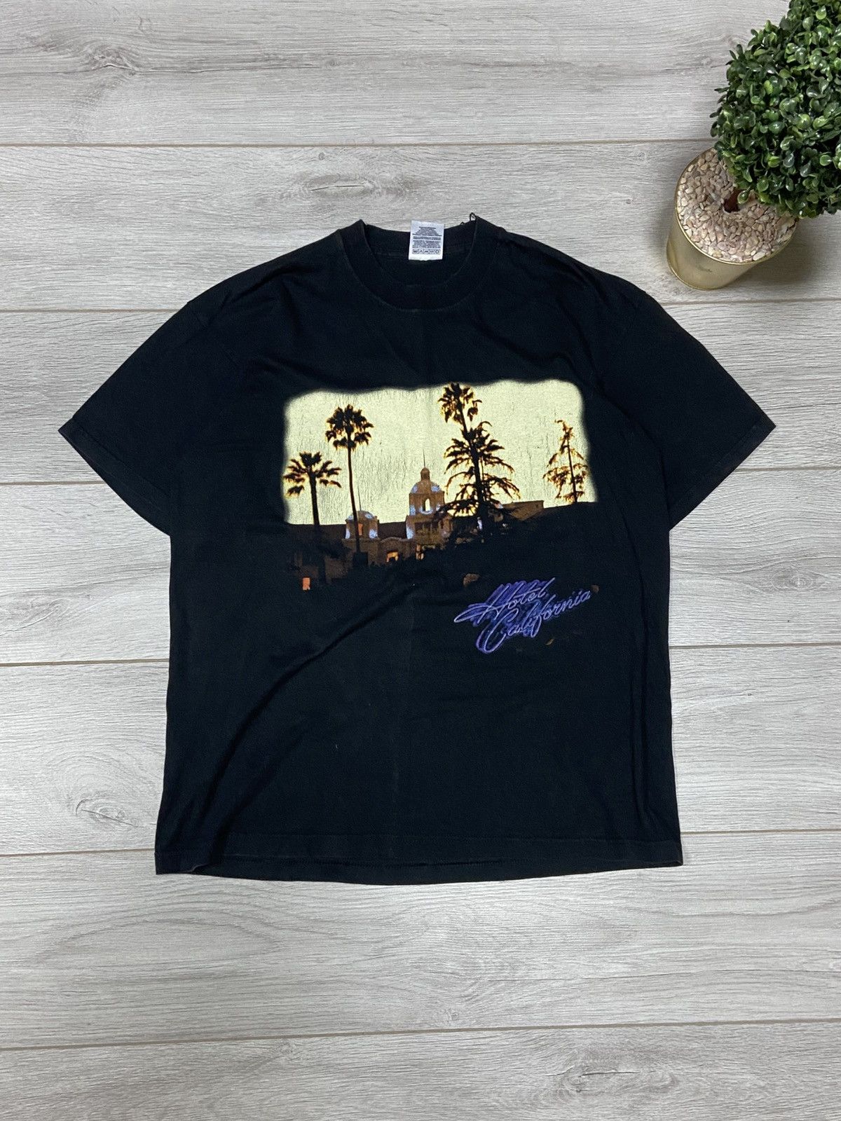 Vintage 2001 Eagles Hotel California Band tee (Pink Floyd)