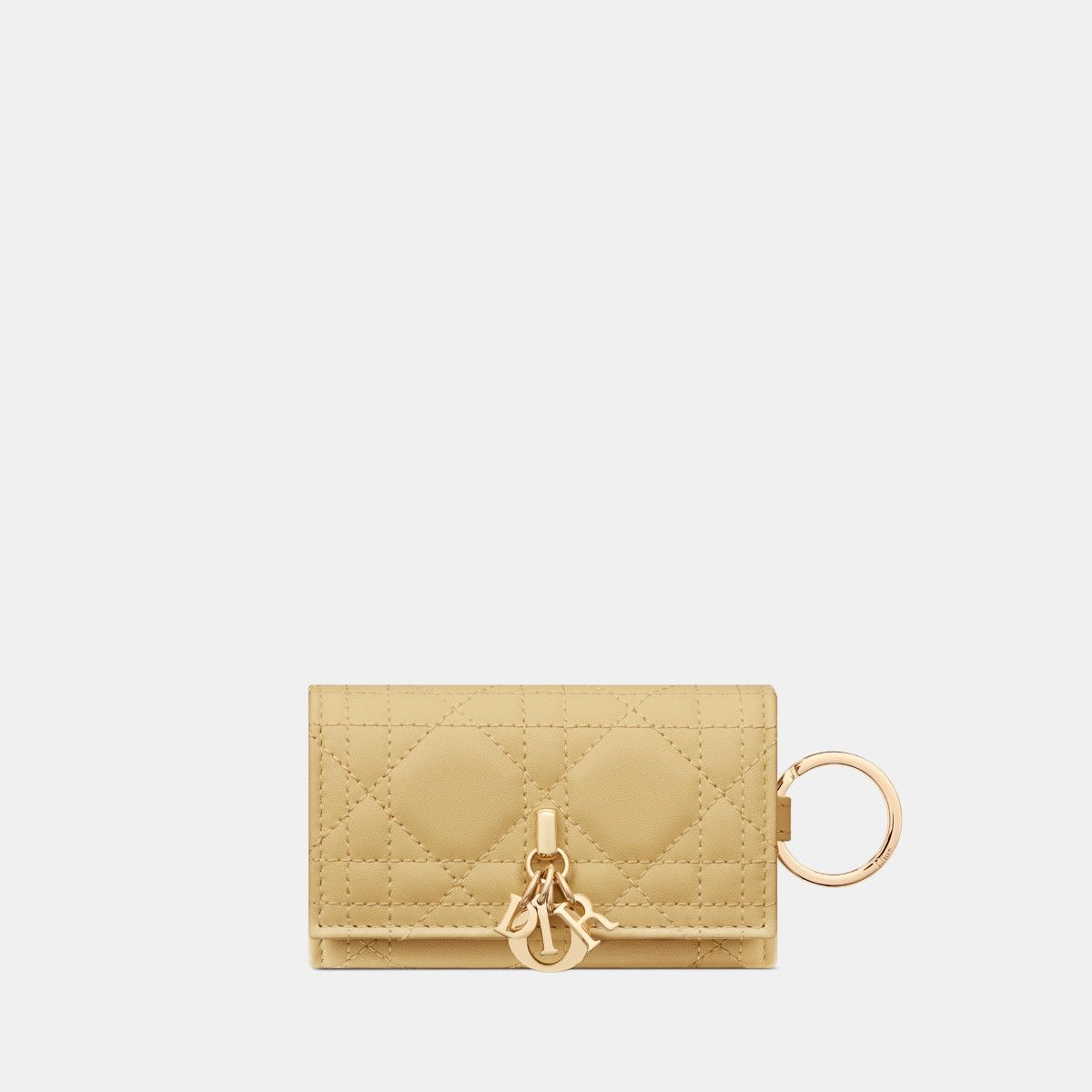 Dior o1bcso1str0226 Size:OS/ Aster Key Case in Pastel Yellow Size ONE SIZE - 1 Thumbnail