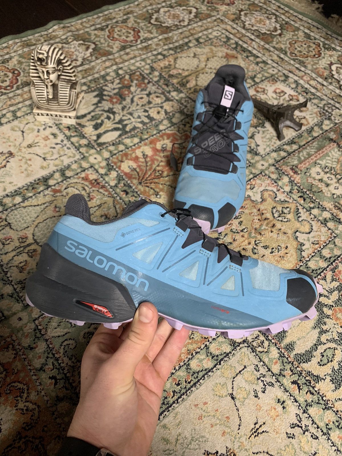 Salomon SpeedCross 5 GTX Gore-Tex sneakers