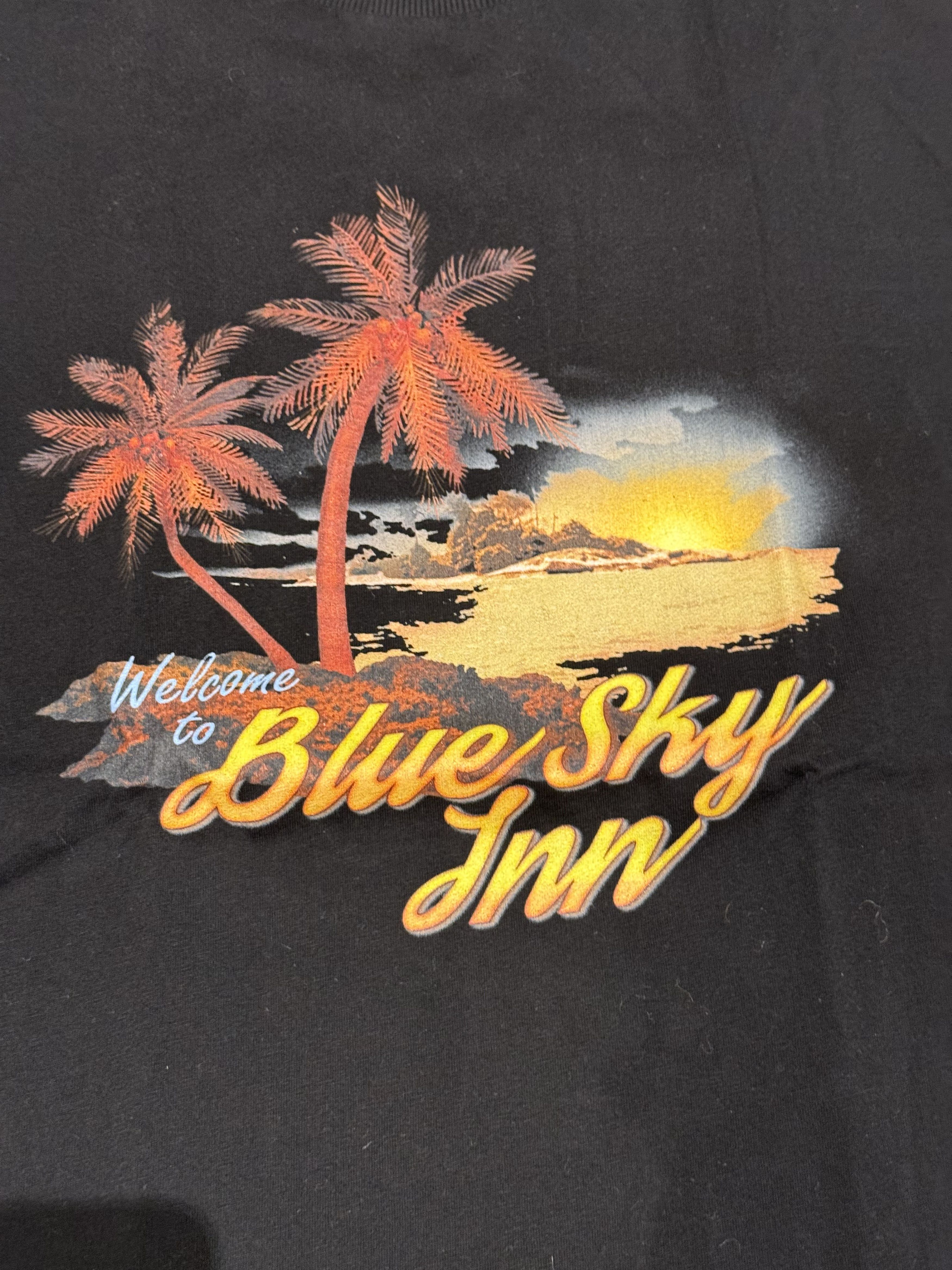 Blue Sky Inn BLUE SKY INN T SHIRT Size US L / EU 52-54 / 3 - 2 Thumbnail