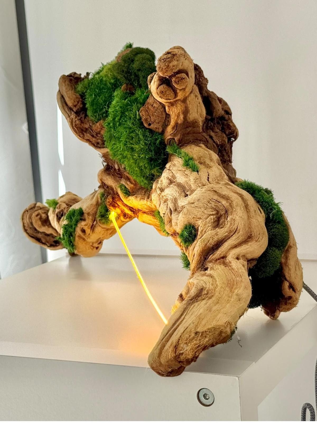 Other Organic Modern Driftwood Table Lamp Sculptural Wood Lighting Size ONE SIZE - 3 Thumbnail