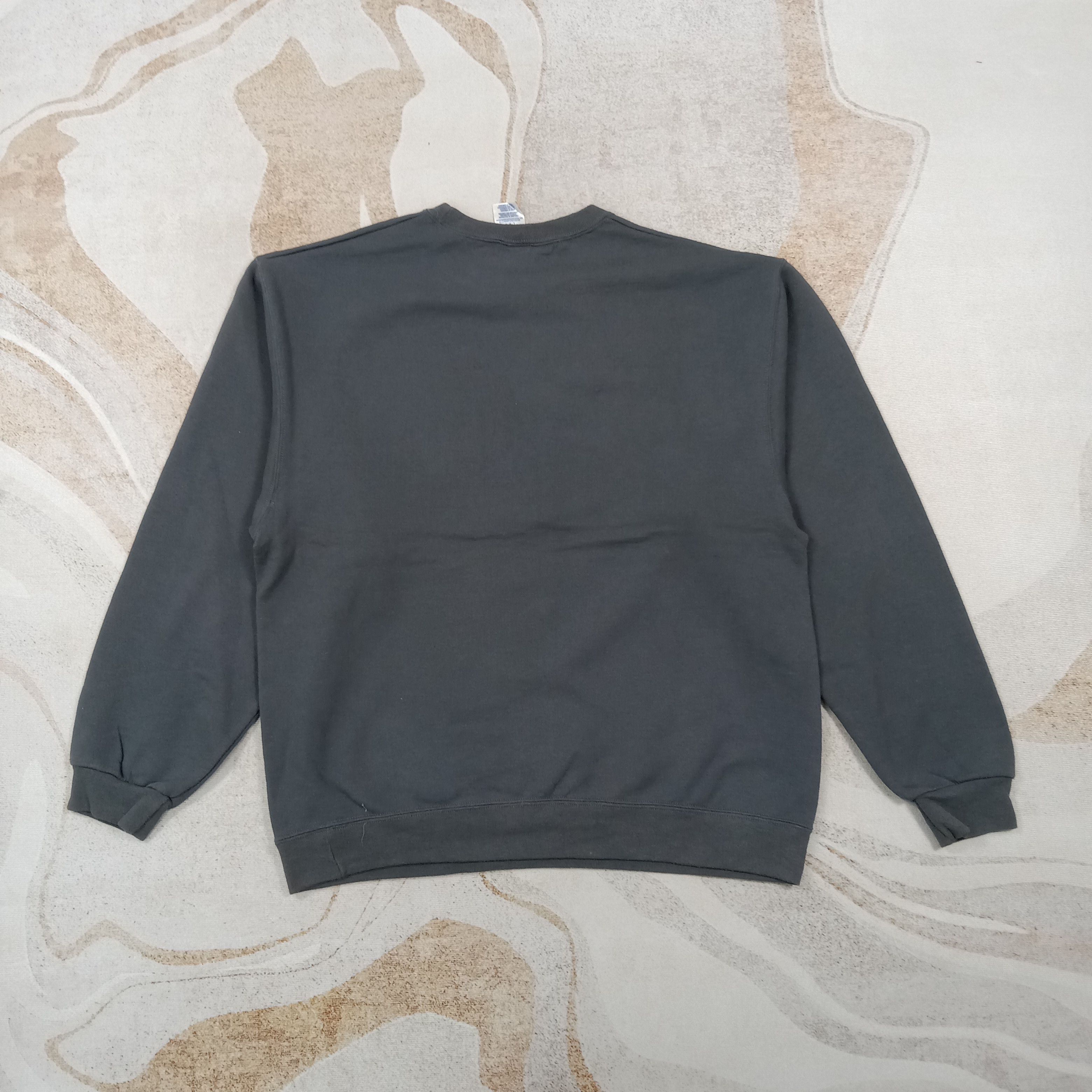 Jerzees Panthers D'Shawn Jamison Football Sweatshirt C270N3 Size US L / EU 52-54 / 3 - 4 Thumbnail