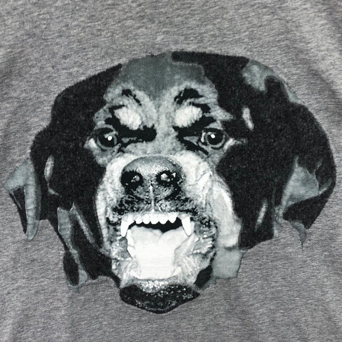 Givenchy Pick!! Givenchy Rottweiler Top Tee Tshirt Size US XXS / EU 40 - 10 Thumbnail