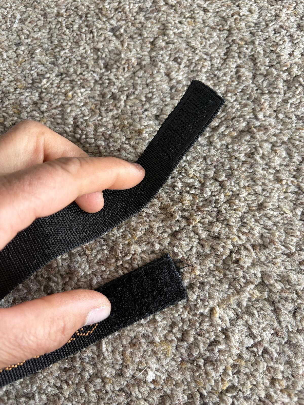 Harley Davidson Harley Davidson strap Size ONE SIZE - 3 Thumbnail