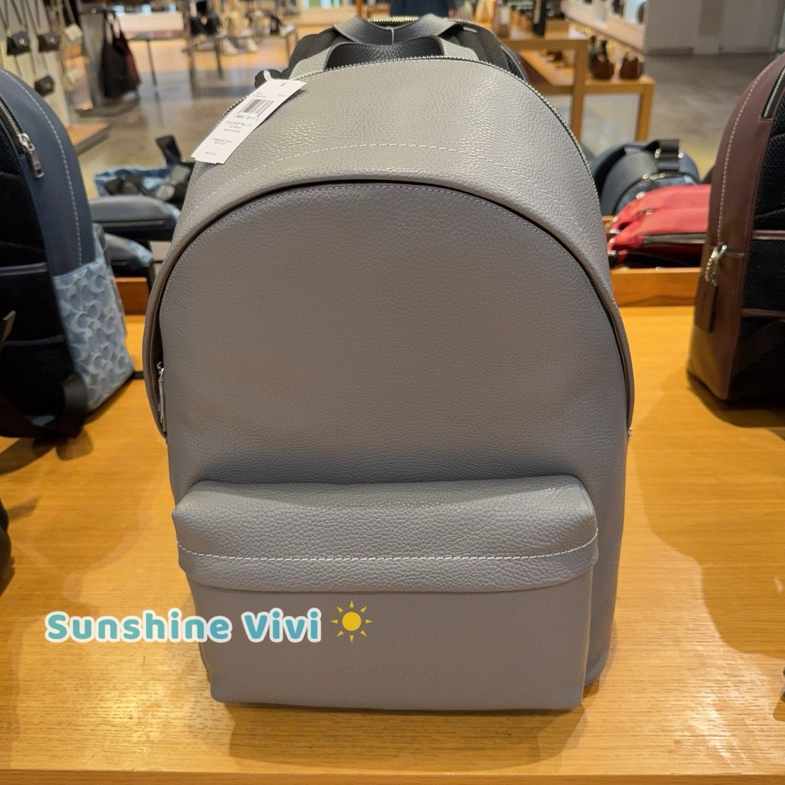 Coach NWT Coach Taylor Backpack In Leather CDX93 Silver/Graphite Size ONE SIZE - 1 Thumbnail