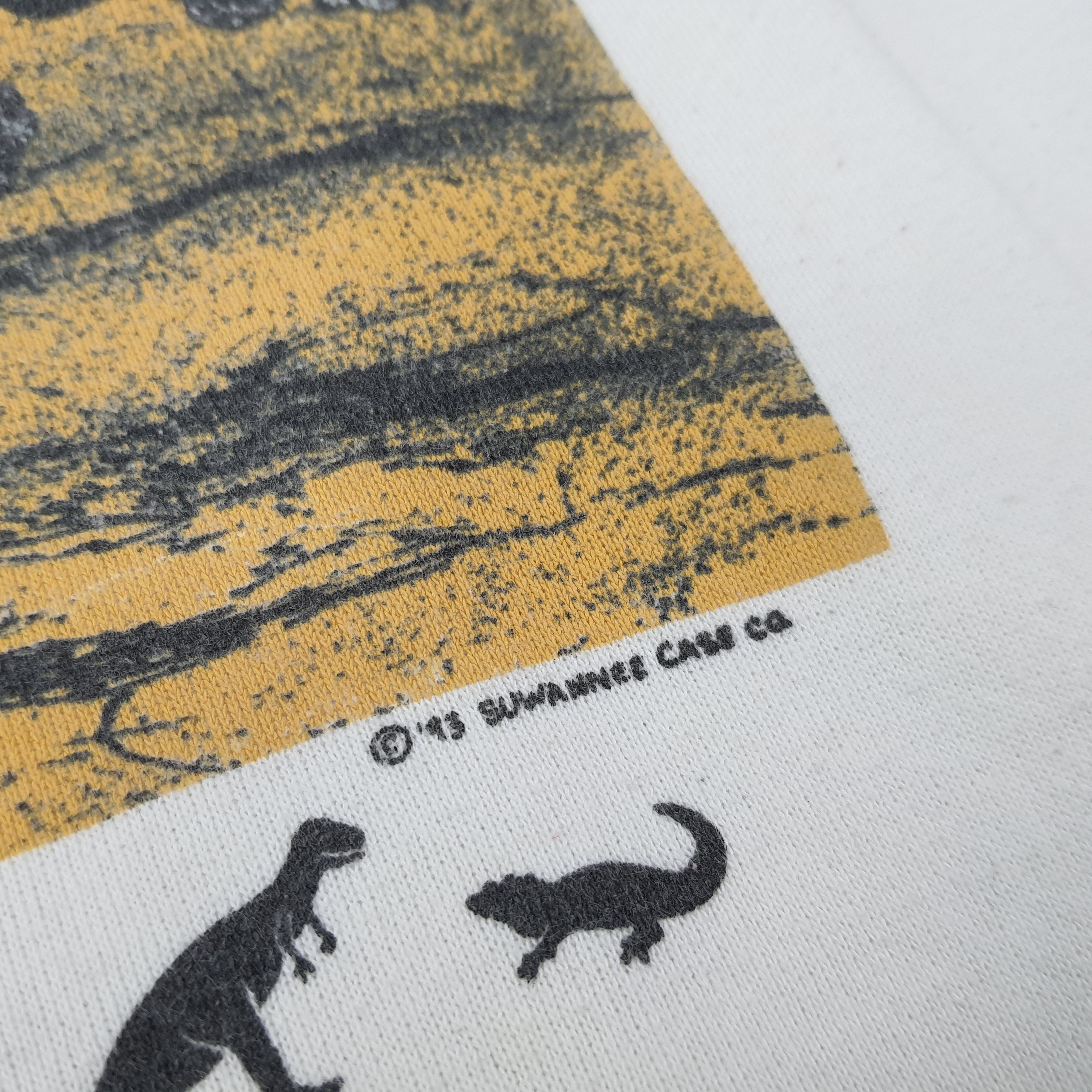Jerzees Vintage 90s Suwannee case CQ Art Sweatshirt C262N1 Size US XS / EU 42 / 0 - 3 Thumbnail