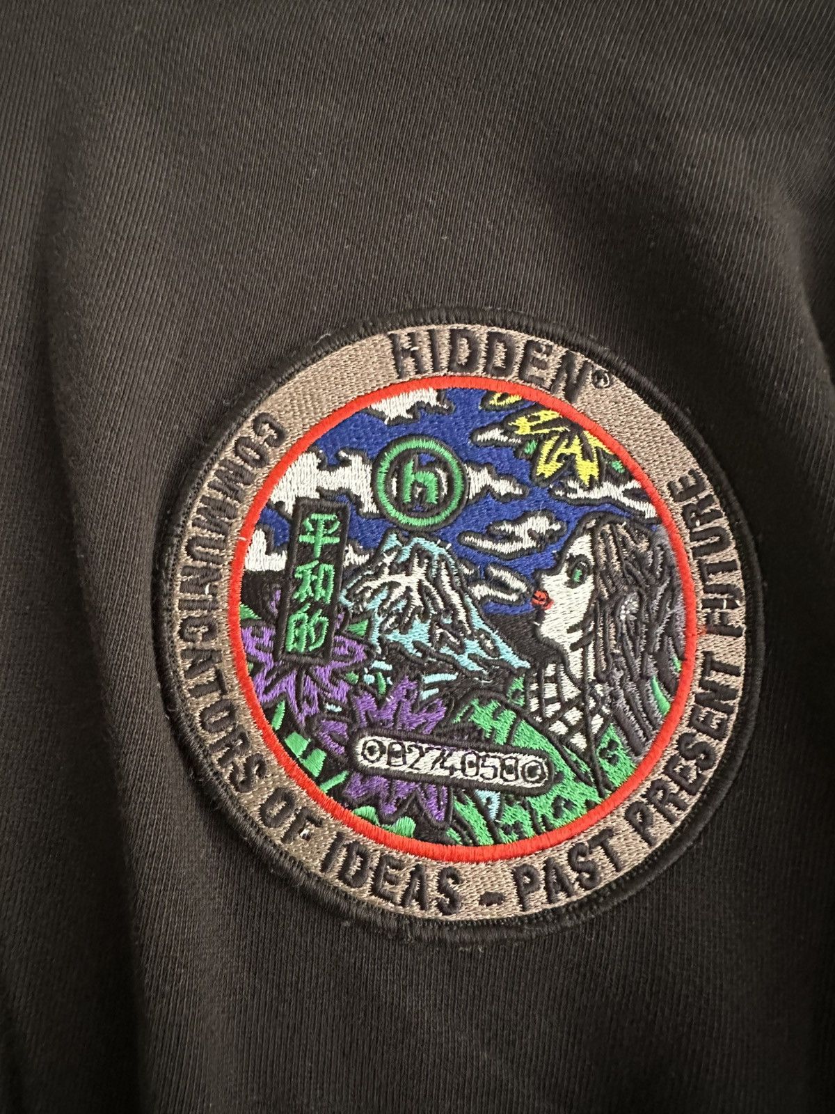 HIDDEN Hidden Hoodie Size US M / EU 48-50 / 2 - 3 Thumbnail