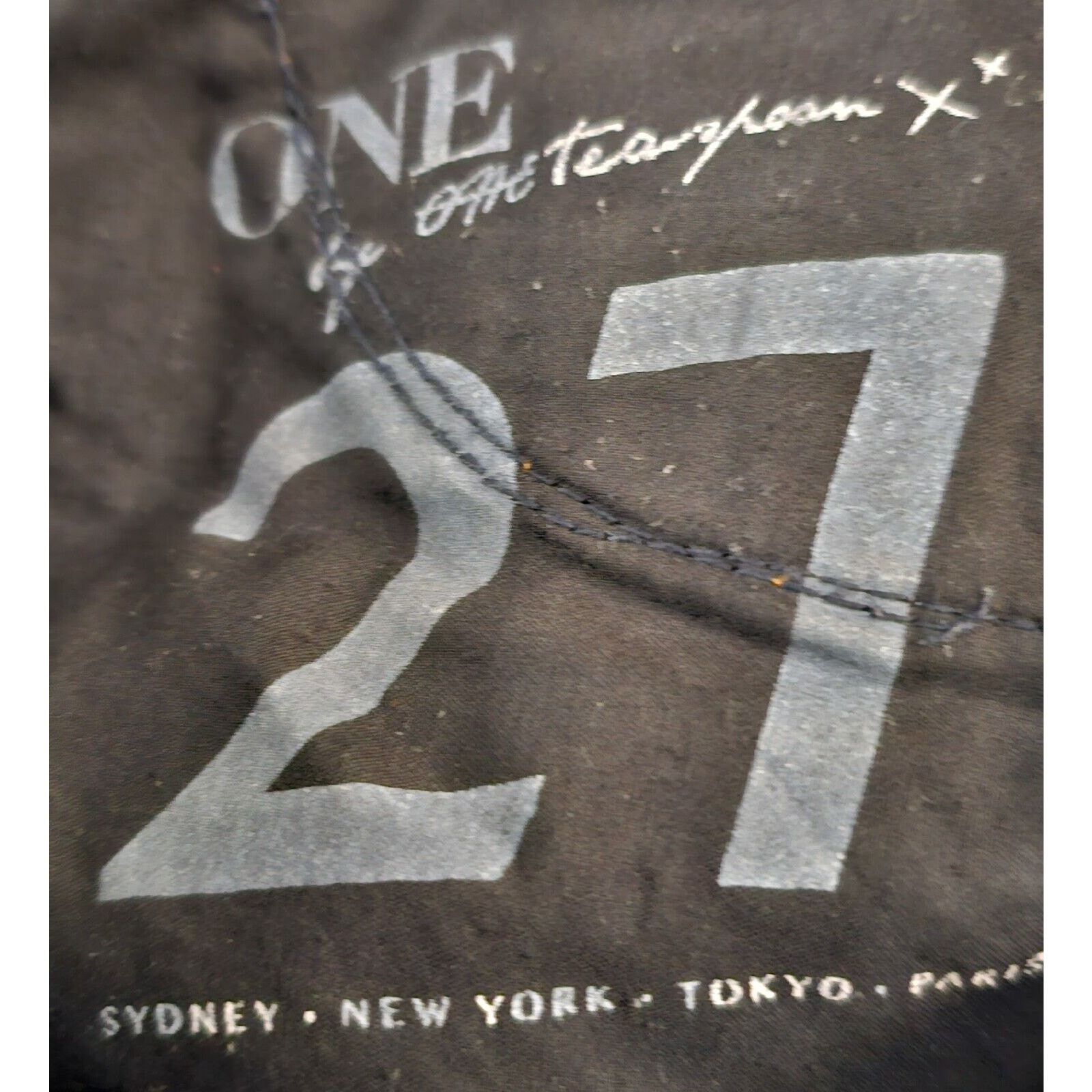 One Teaspoon One Teaspoon Trashed Free Birds Low Waist Distressed 27 W 30 Size 27" / US 4 / IT 40 - 12 Thumbnail