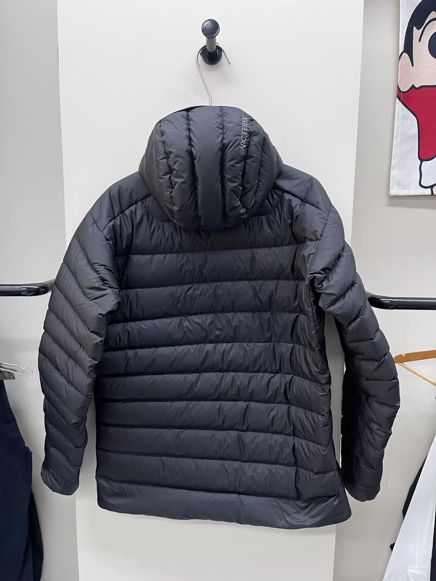 Arc'teryx Arcteryx Cerium HOODY 800 fill down embroidered L mint Size US L / EU 52-54 / 3 - 4 Thumbnail