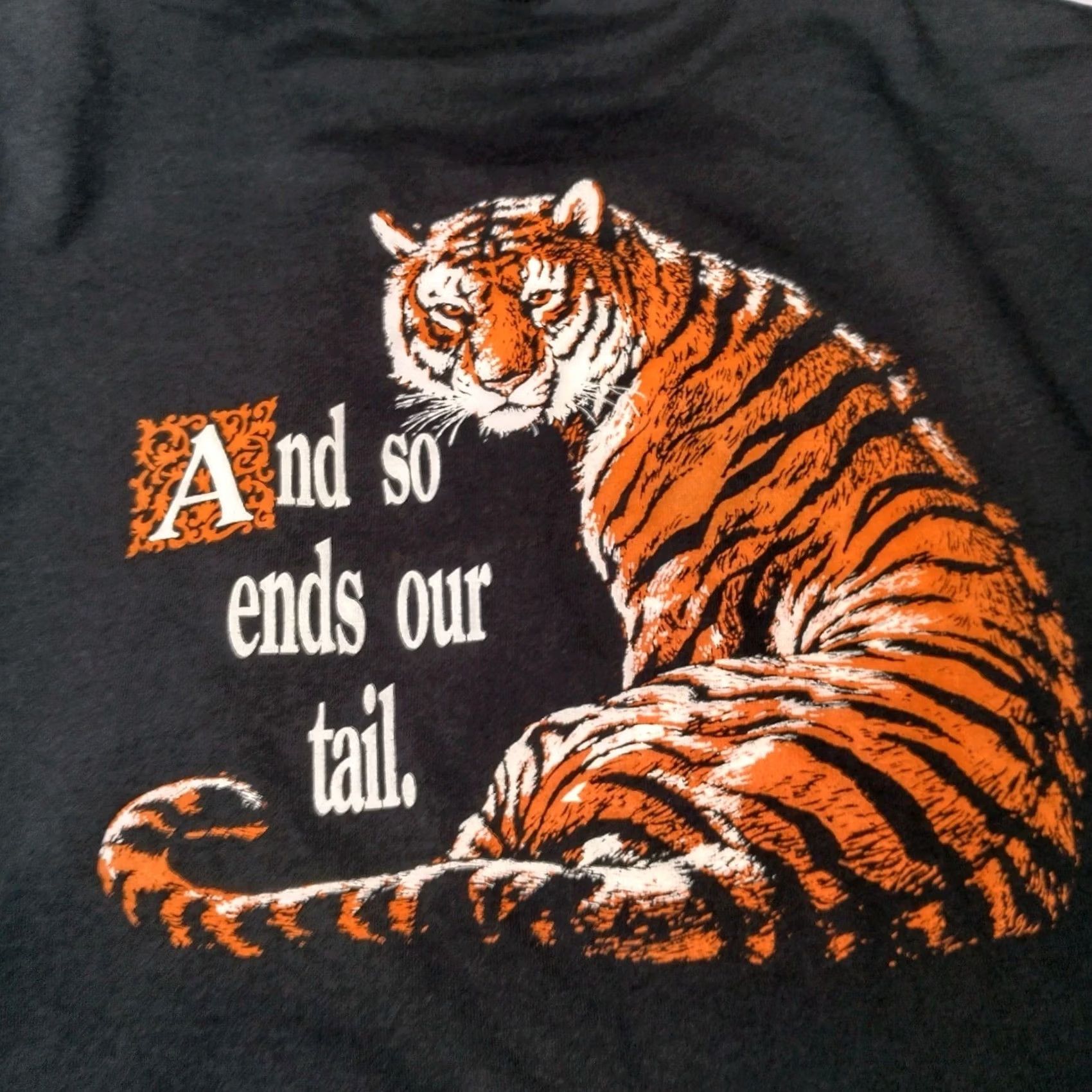 Vintage VINTAGE Elkins West Virginia High School Shirt Large Long Sleeve Academia 1990s Size US L / EU 52-54 / 3 - 4 Thumbnail