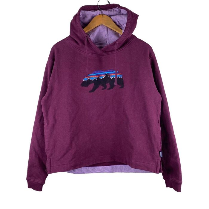 Patagonia cheap bear hoodie