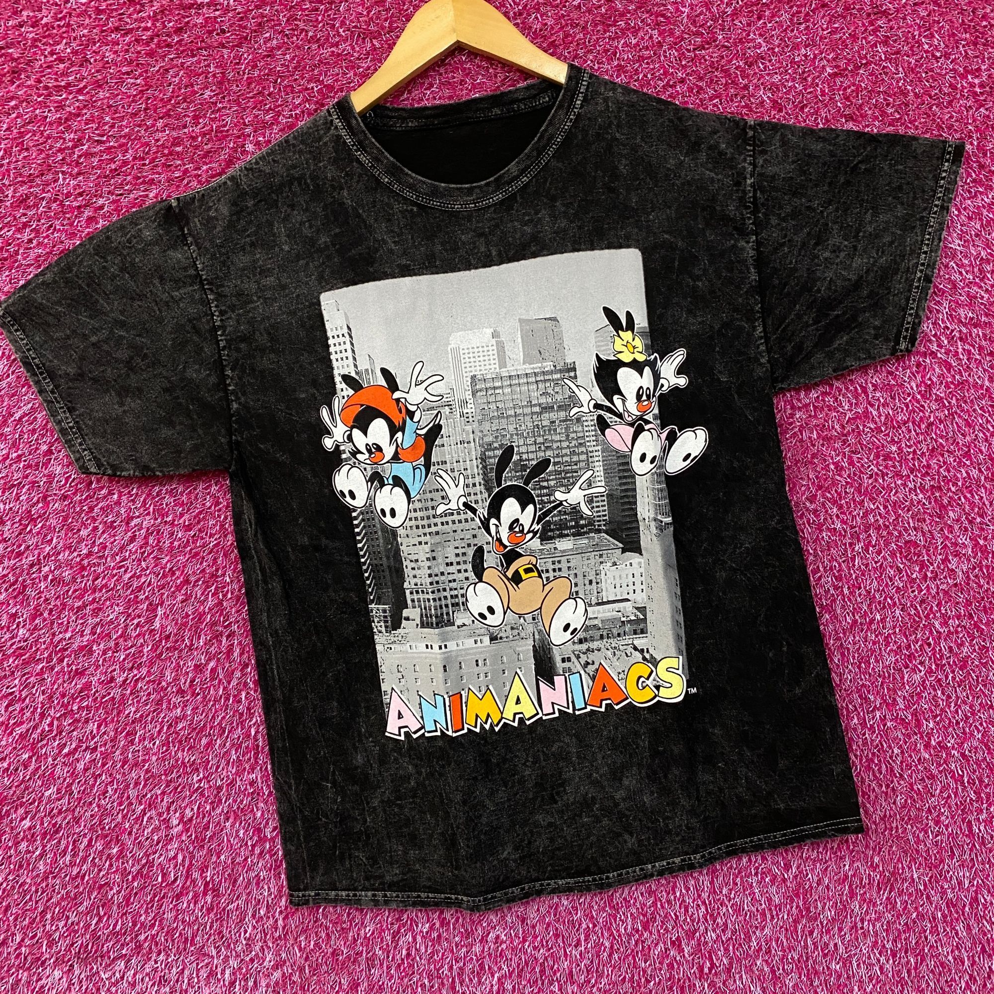 Warner Bros Warner Bros. Animaniacs Cartoon City Graphic Mineral Wash Vi Size US L / EU 52-54 / 3 - 3 Thumbnail