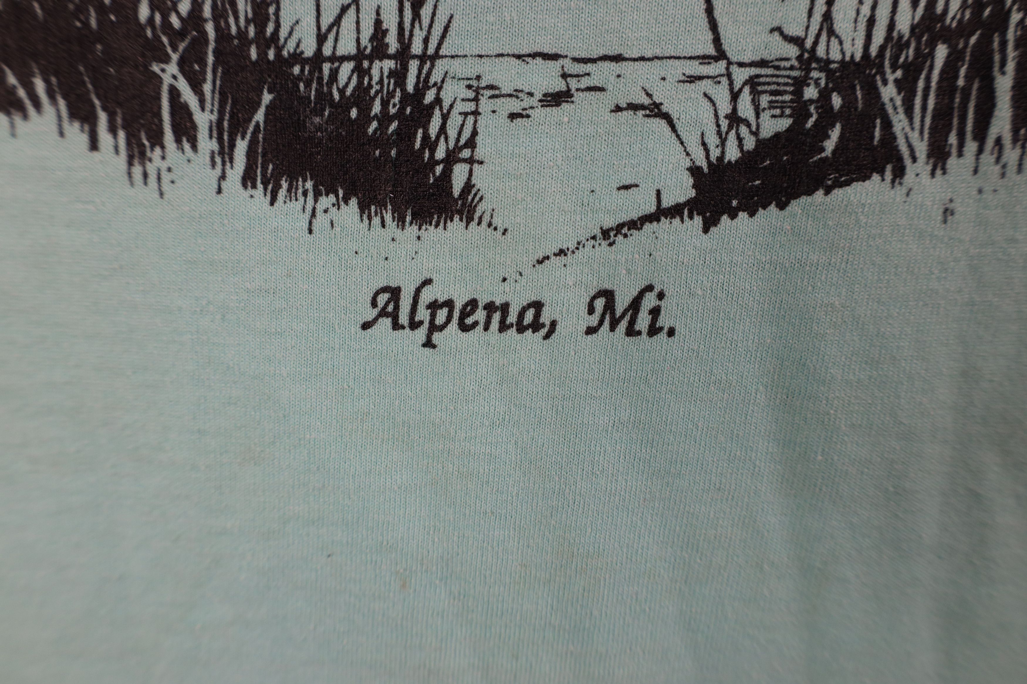 Vintage Vintage 90s Streetwear Sunrise Alpena Michigan T-Shirt USA Size US XL / EU 56 / 4 - 5 Thumbnail