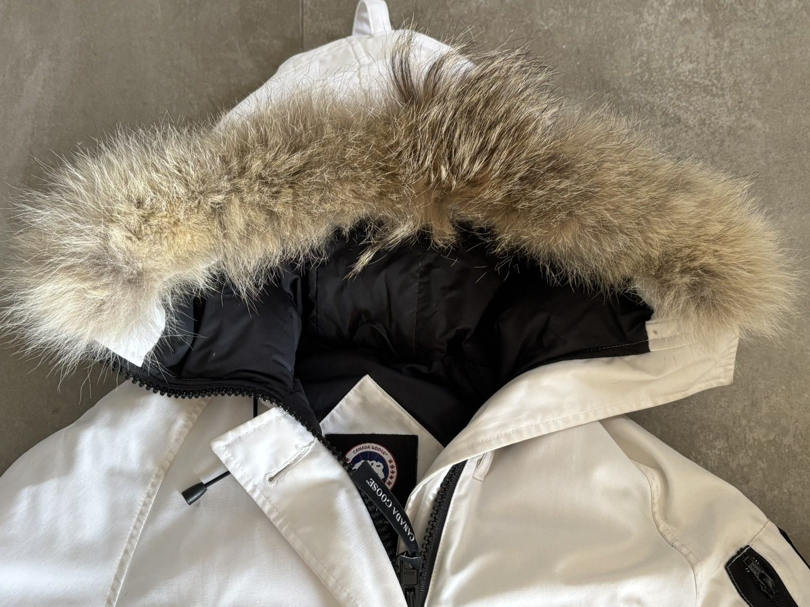Canada Goose Canada Goose Chilliwack bomber jacket white Size US XS / EU 42 / 0 - 3 Thumbnail