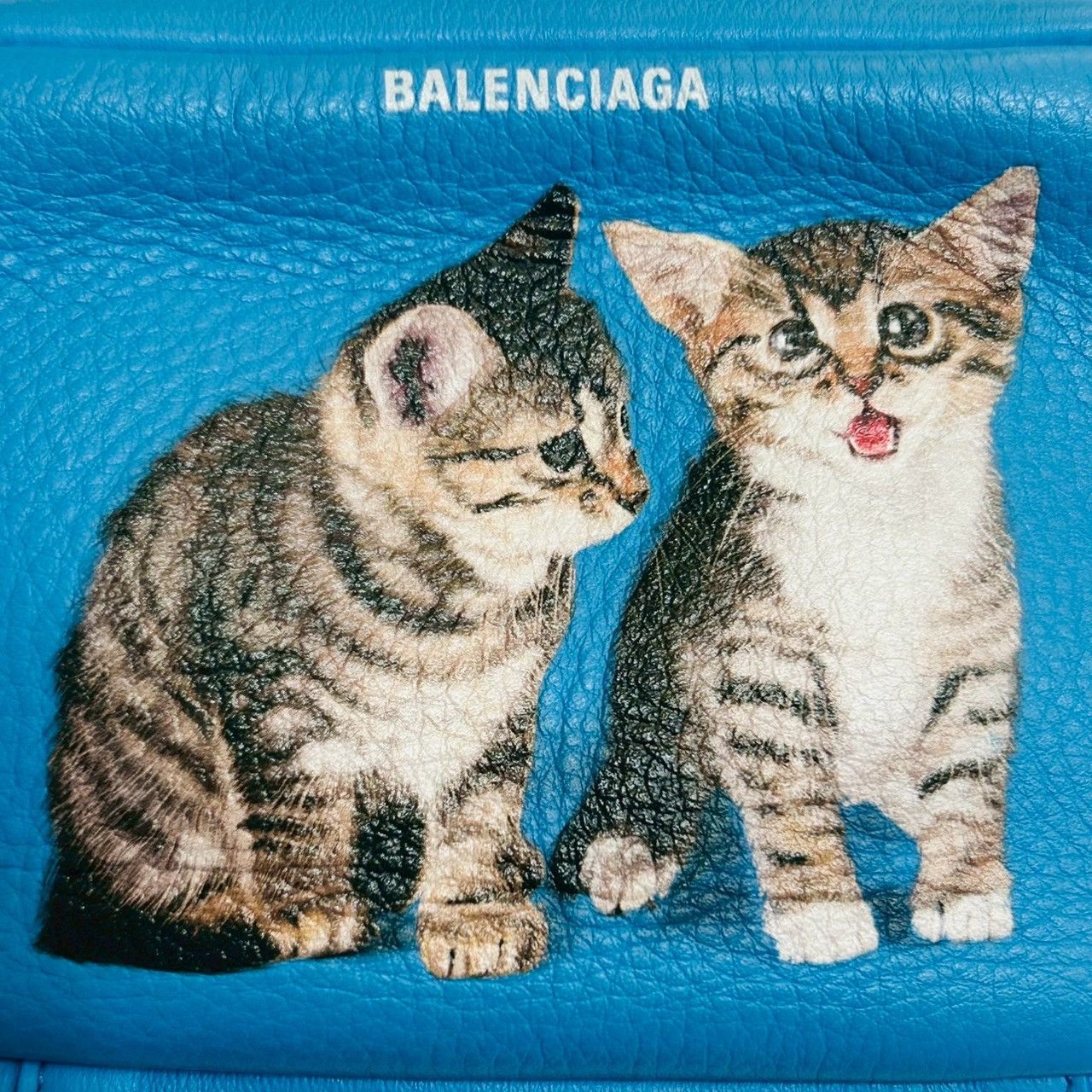 Balenciaga Balenciaga FW18 Puppy and Kitten Camera Bag Size ONE SIZE - 2 Thumbnail