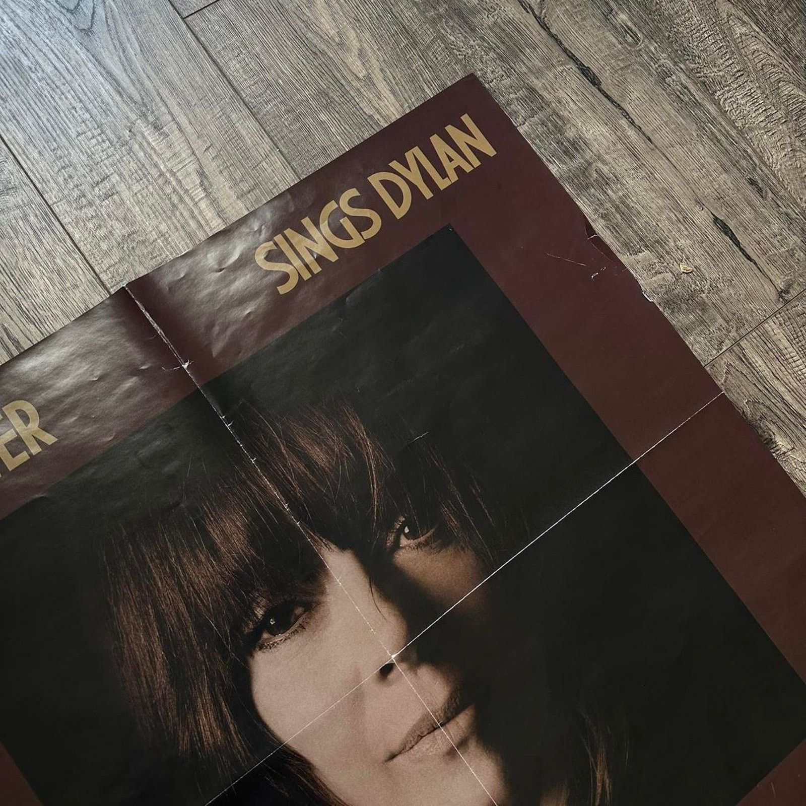 Vintage Cat Power Sings Bob Dylan Royal Albert Music Hall Poster Size ONE SIZE - 4 Thumbnail