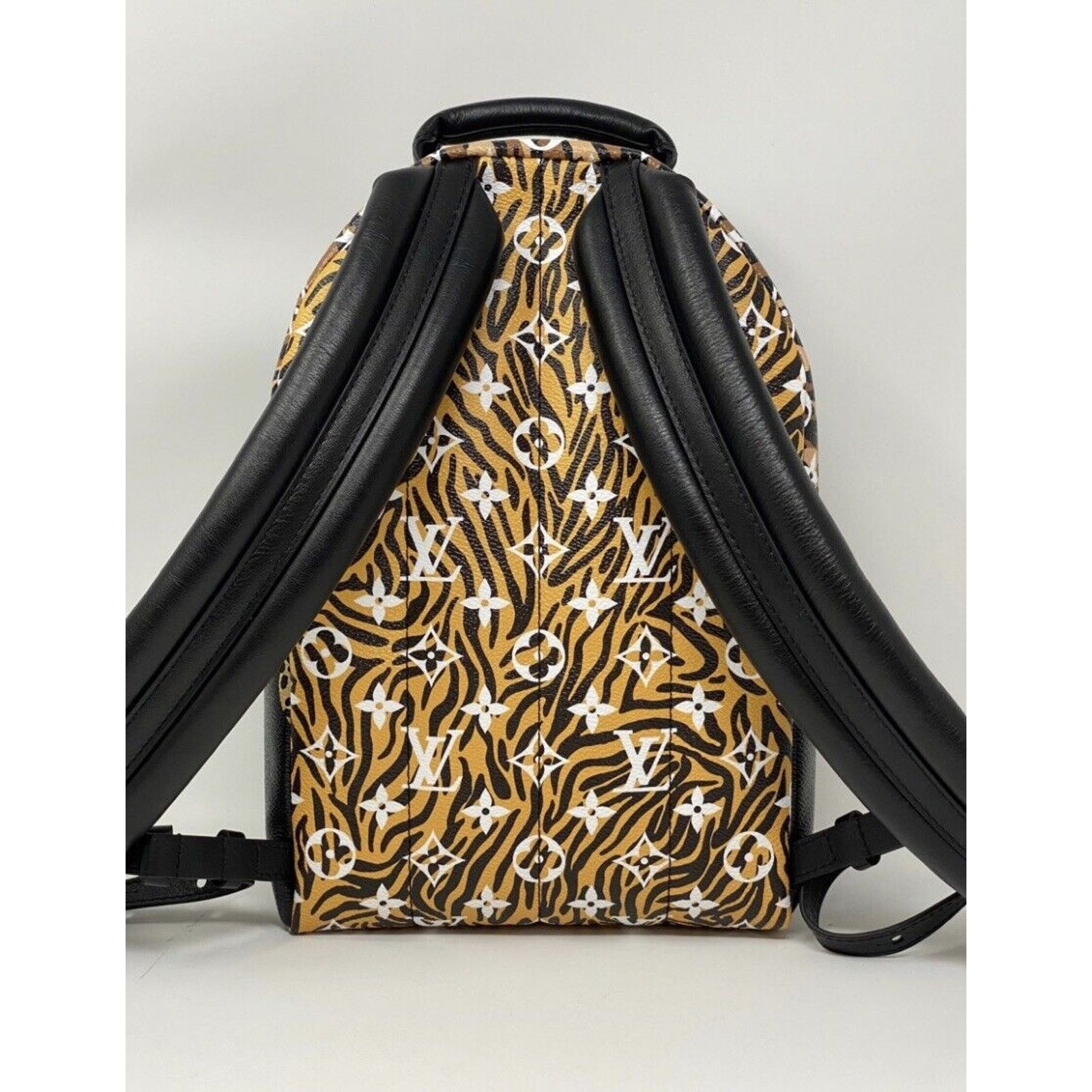 Louis Vuitton Louis Vuitton Jungle Monogram Palm Springs PM Backpack Limit Size ONE SIZE - 9 Thumbnail