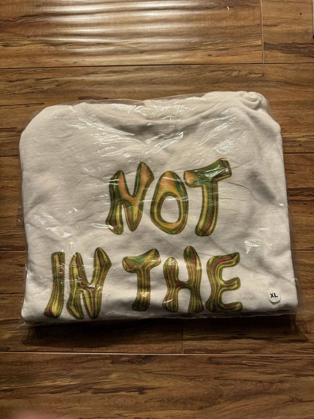image of Not In The Mood Hoodie By Mood Swings in White, Men's (Size XL)