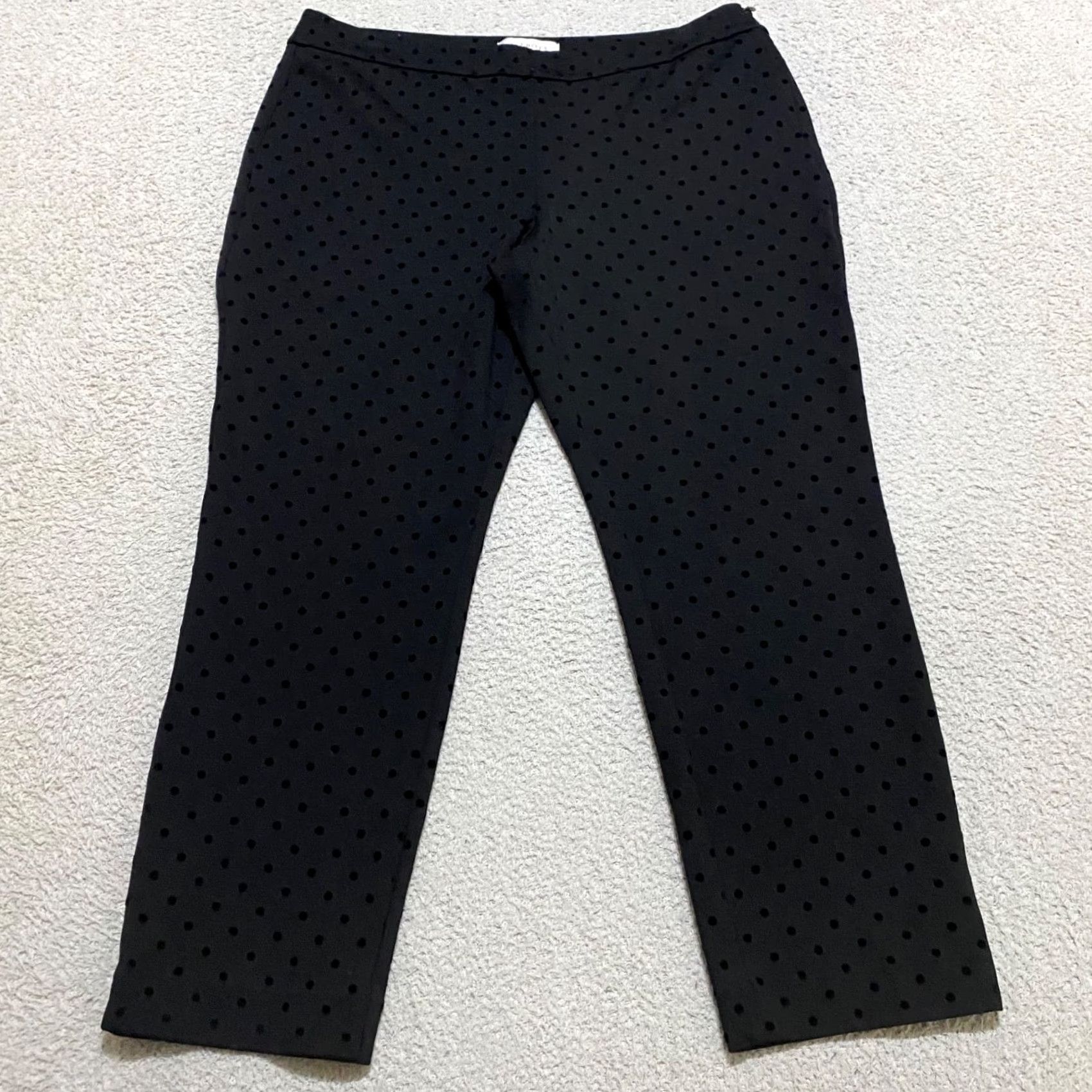 Talbots Talbots Pants Dress Pants Black 12P Petites Straight Flat Front Nylon Rayon Spandex Womens Professionals Carvy? Size 34" / US 12 / IT 48 - 2 Thumbnail